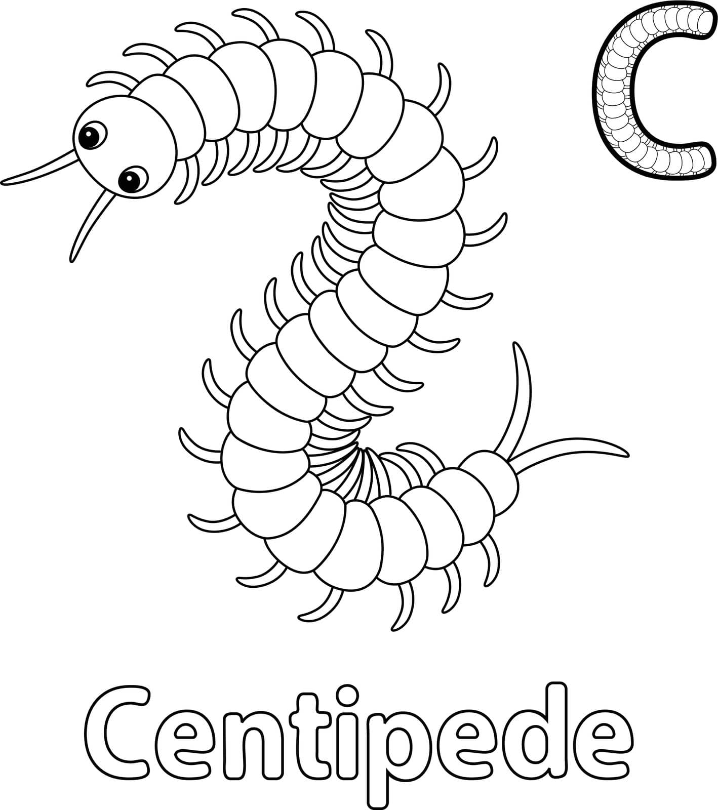 This ABC vector image shows a Centipede Animal coloring page. It is isolated on a white background. Perfect for children and elementary school students to learn the alphabet and all its letters.