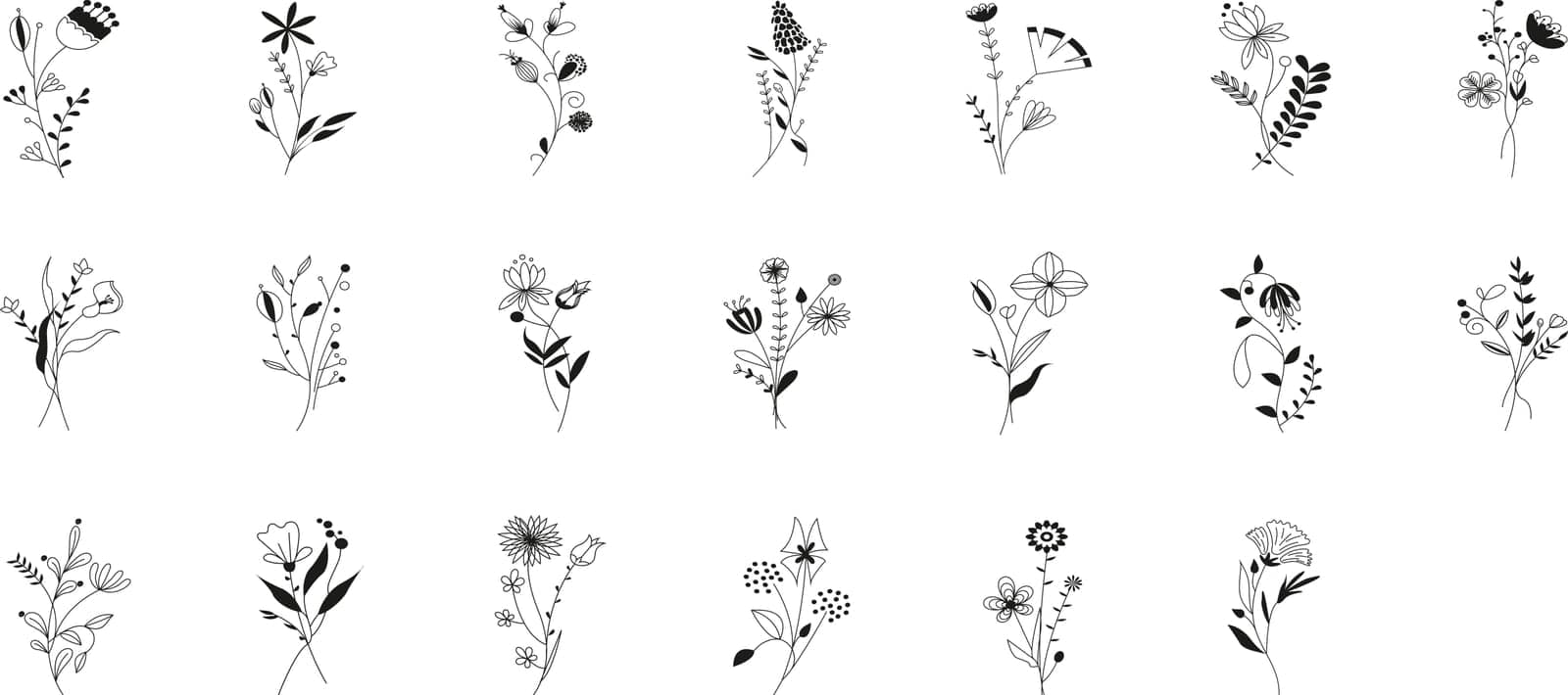 Black and white illustration ginkgo biloba, ginko, eucalyptus, maple, oak, herbs. Vector leaves branches set isolated on transparent background. Decorative vintage elements for decoration collection