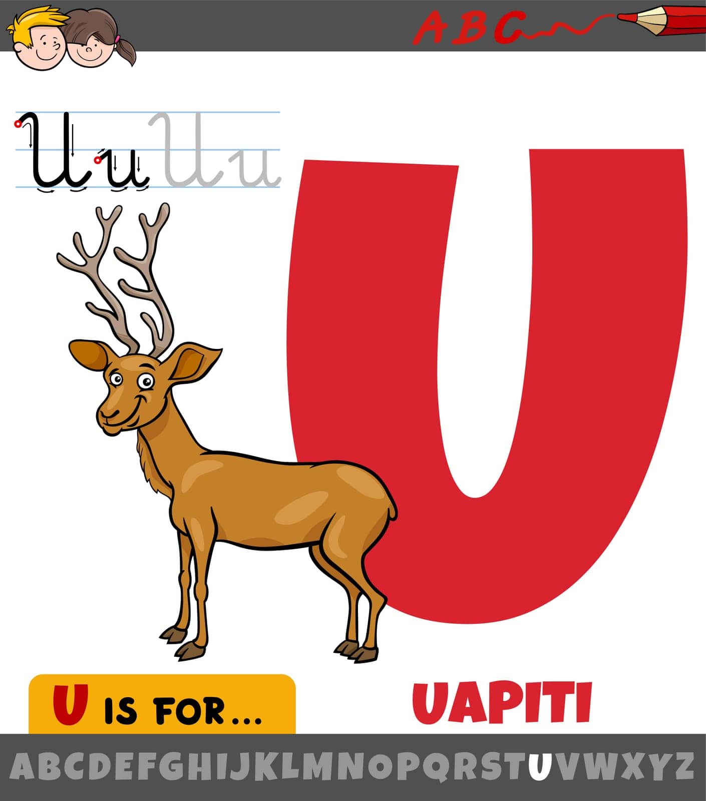 letter U from alphabet with cartoon uapiti animal character by izakowski