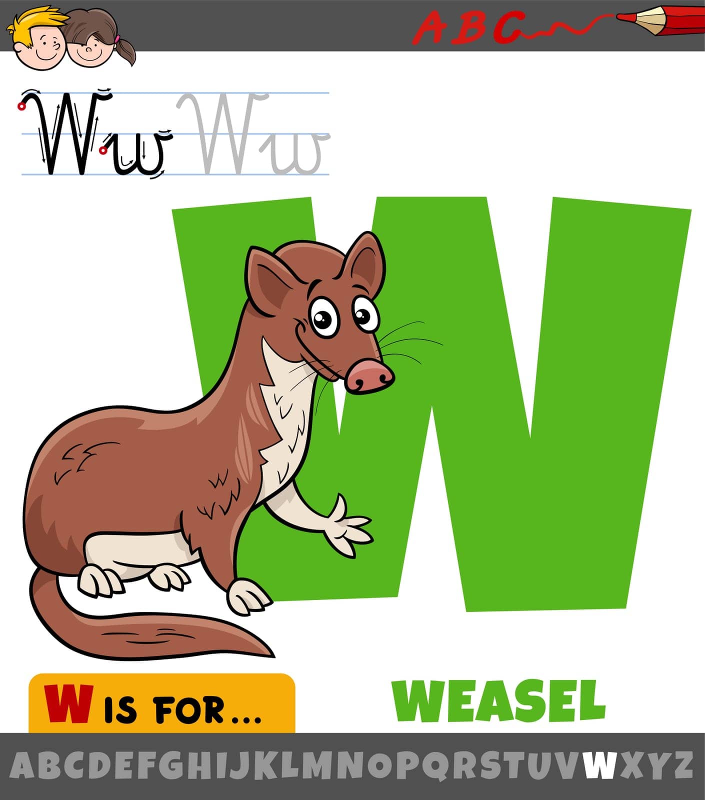 letter W from alphabet with cartoon weasel animal character by izakowski