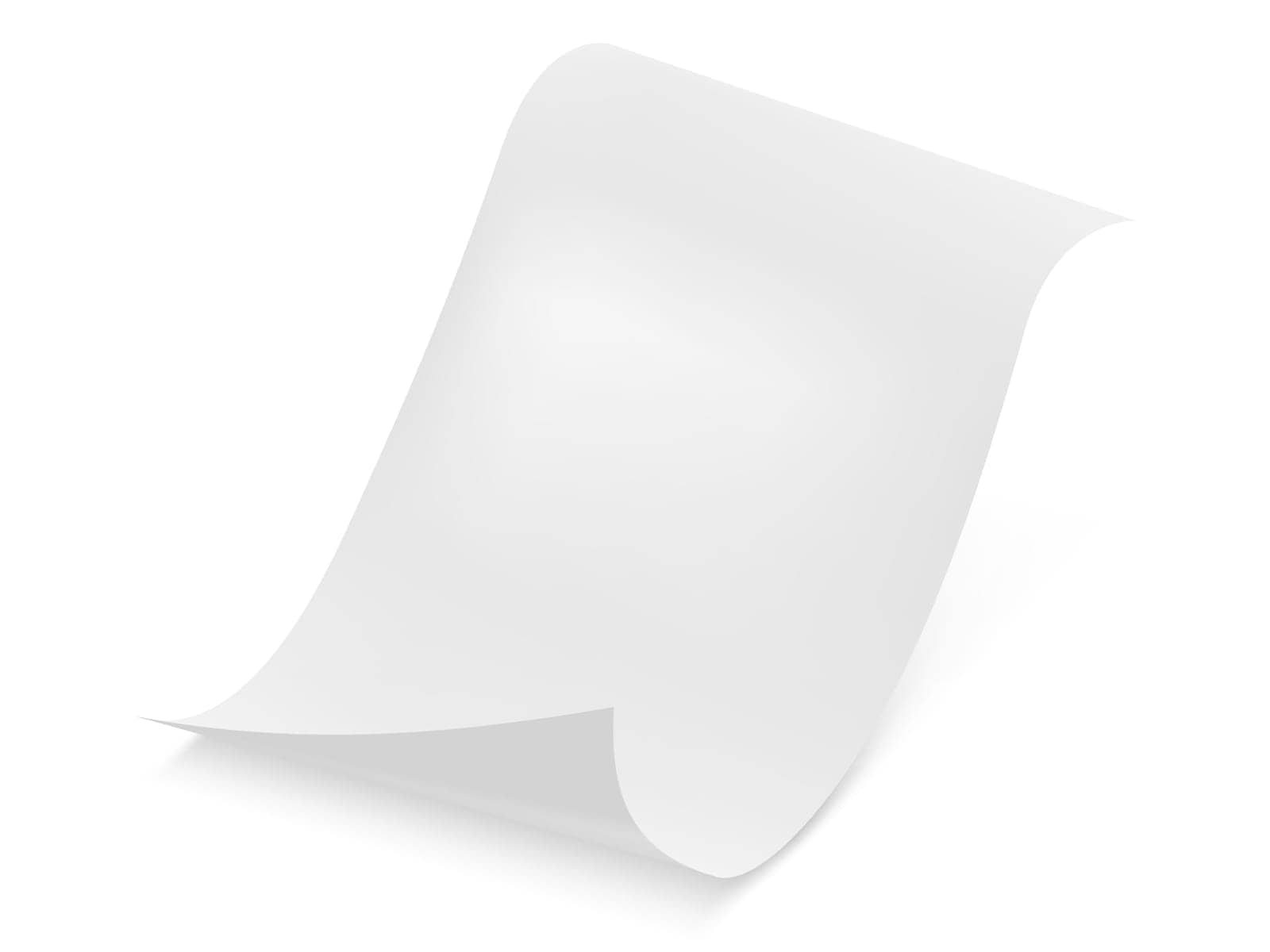 3D Blank Fly Paper Sheet With Curled Corner by VectorThings