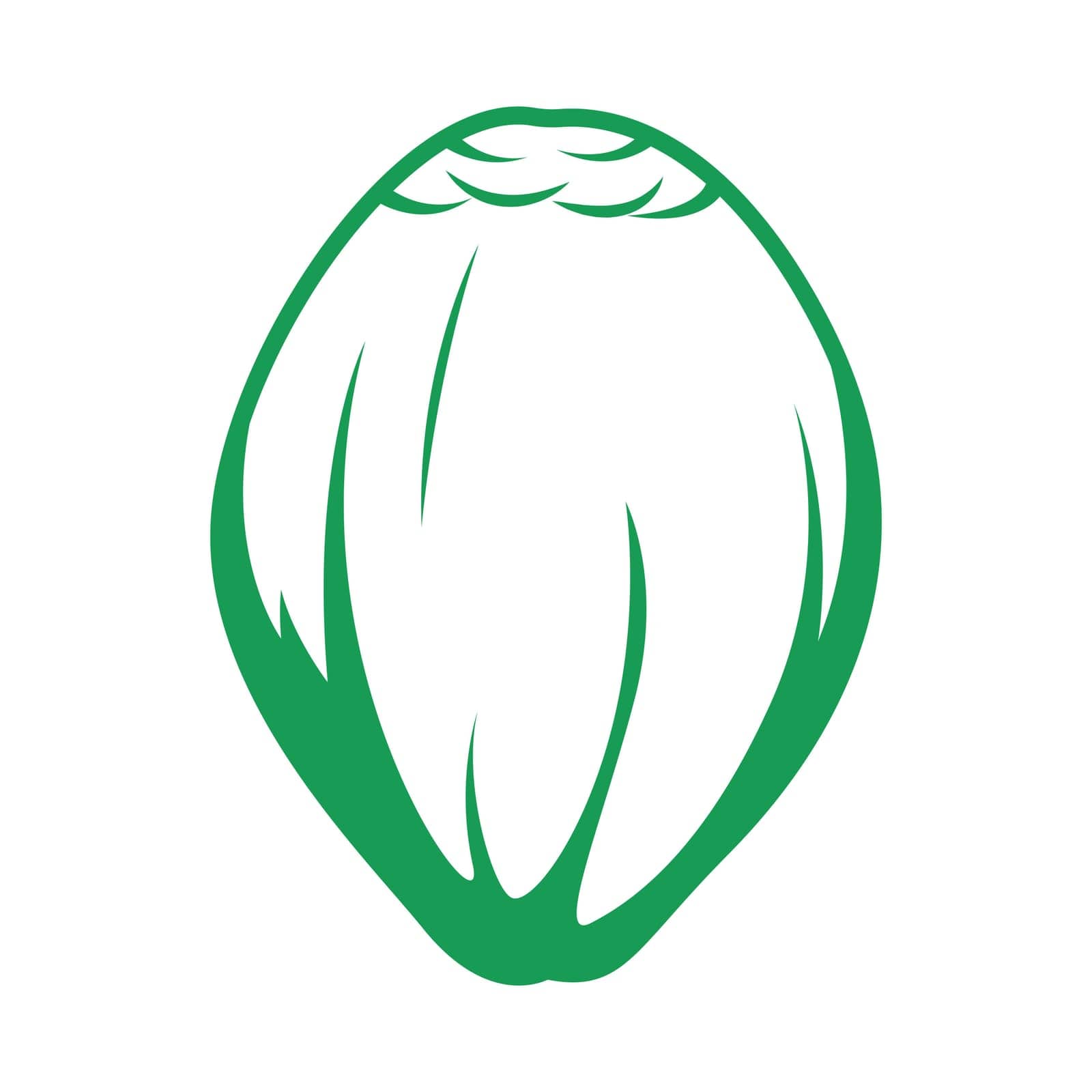 Coconut icon logo design illustration