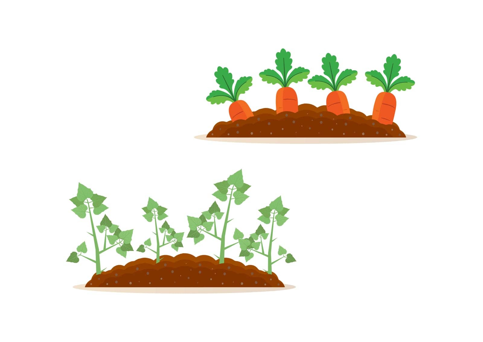 Potato and carrot harvest clipart