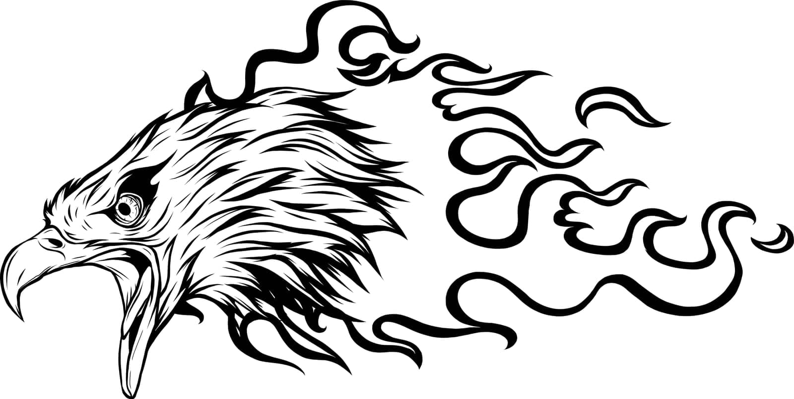vector illustratio of monochrome head eagle with flames on white background by dean