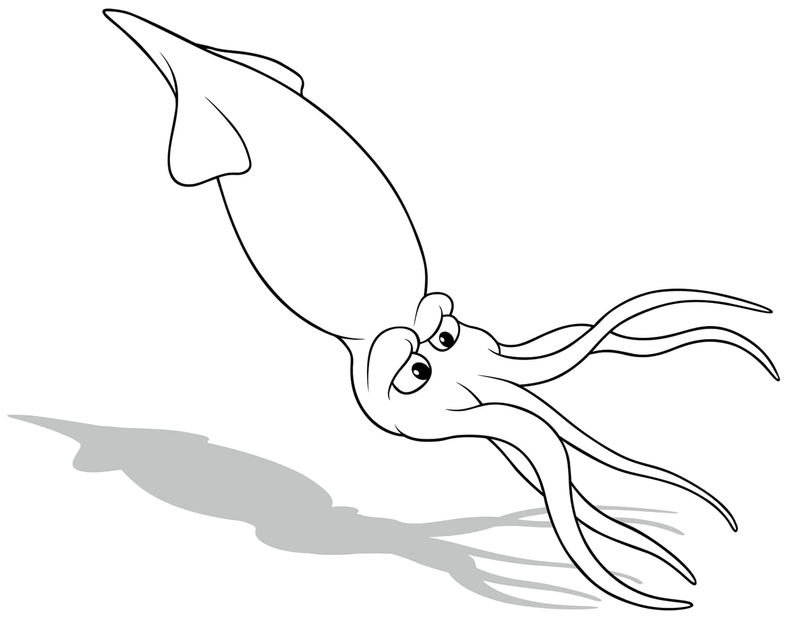 Drawing of a Floating Squid - Cartoon Illustration Isolated on White Background, Vector