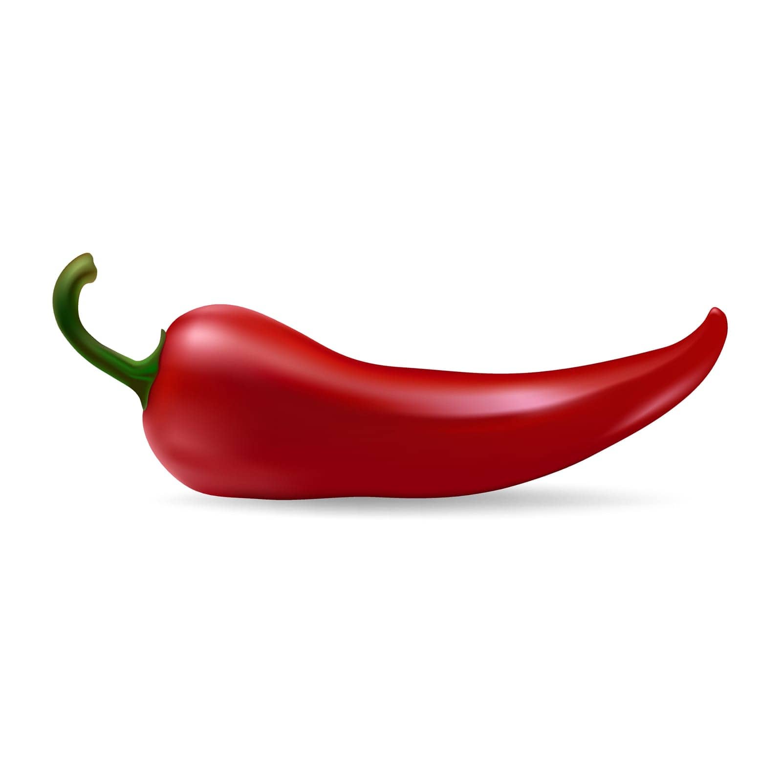Realistic red chilli pepper isolated on white background. Vector EPS10 Illustration.