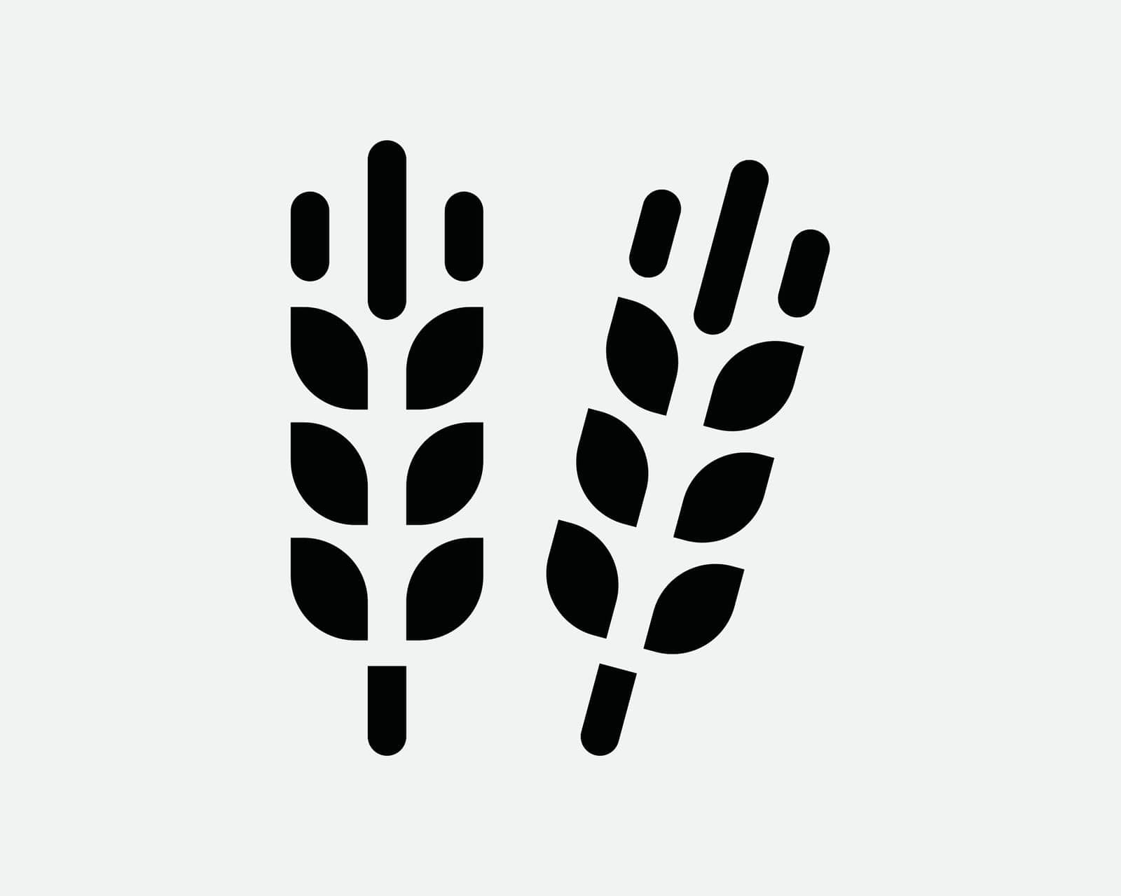Wheat Rye Barley Grain Seed Plant Harvest Cereal Organic Healthy Crop Black and White Icon Sign Symbol Vector Artwork Clipart Illustration