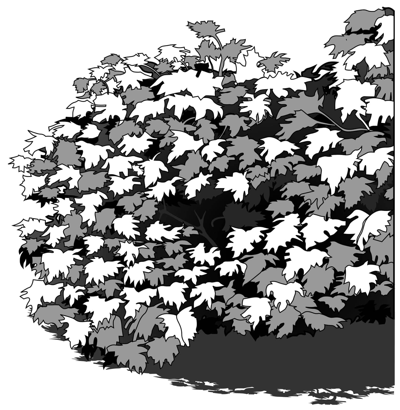 Drawing of a Dense Deciduous Shrub - Cartoon Illustration Isolated on White Background, Vector
