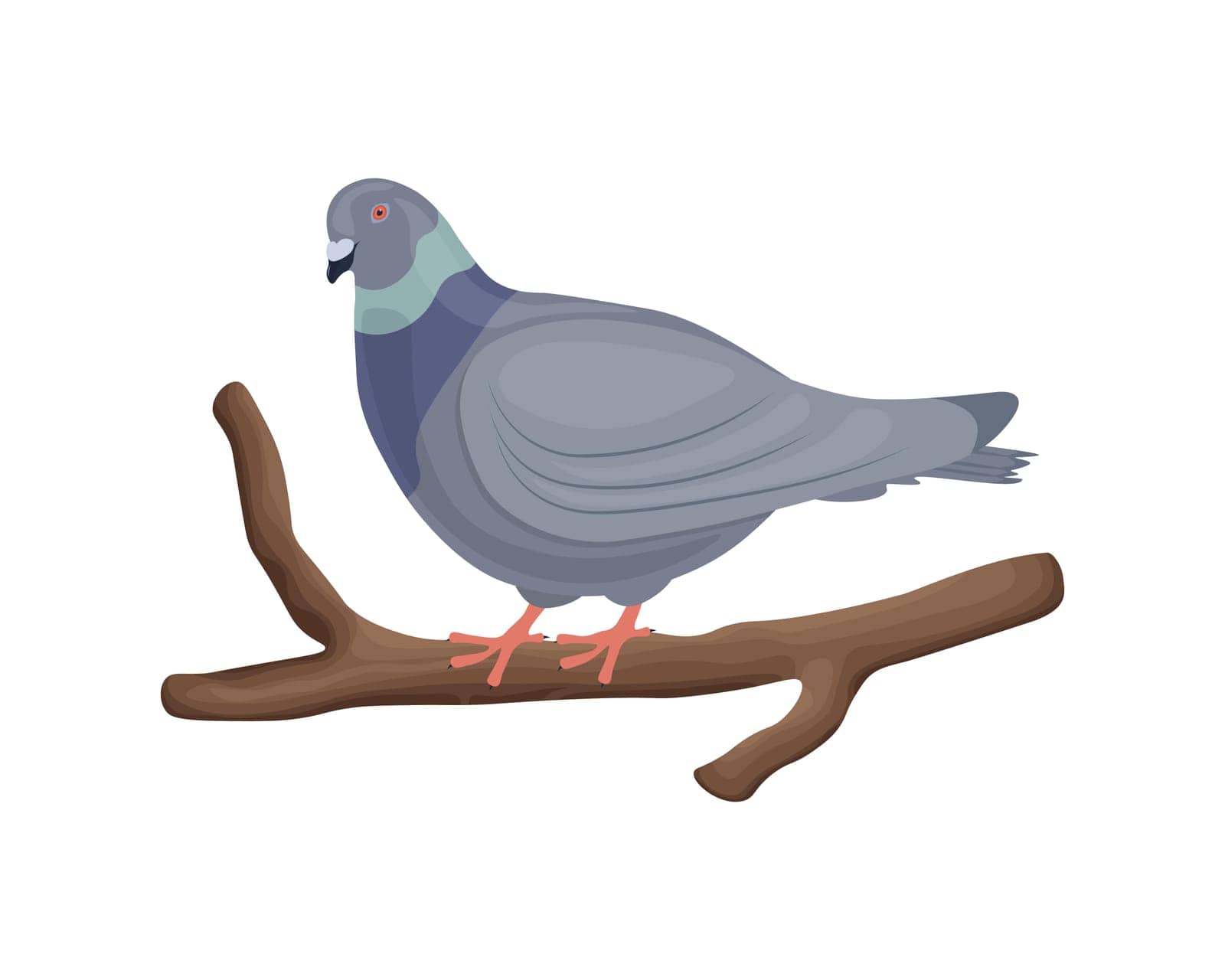 Pigeon. A cute cartoon-style pigeon is sitting on a tree branch. A pigeon on a branch. Vector illustration isolated on a white background.