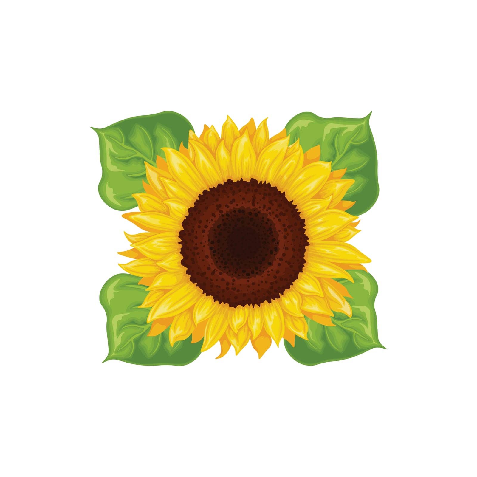Sunflower. The image of a sunflower in cartoon style. Yellow sunflower with green leaves. Vector illustration isolated on a white background.