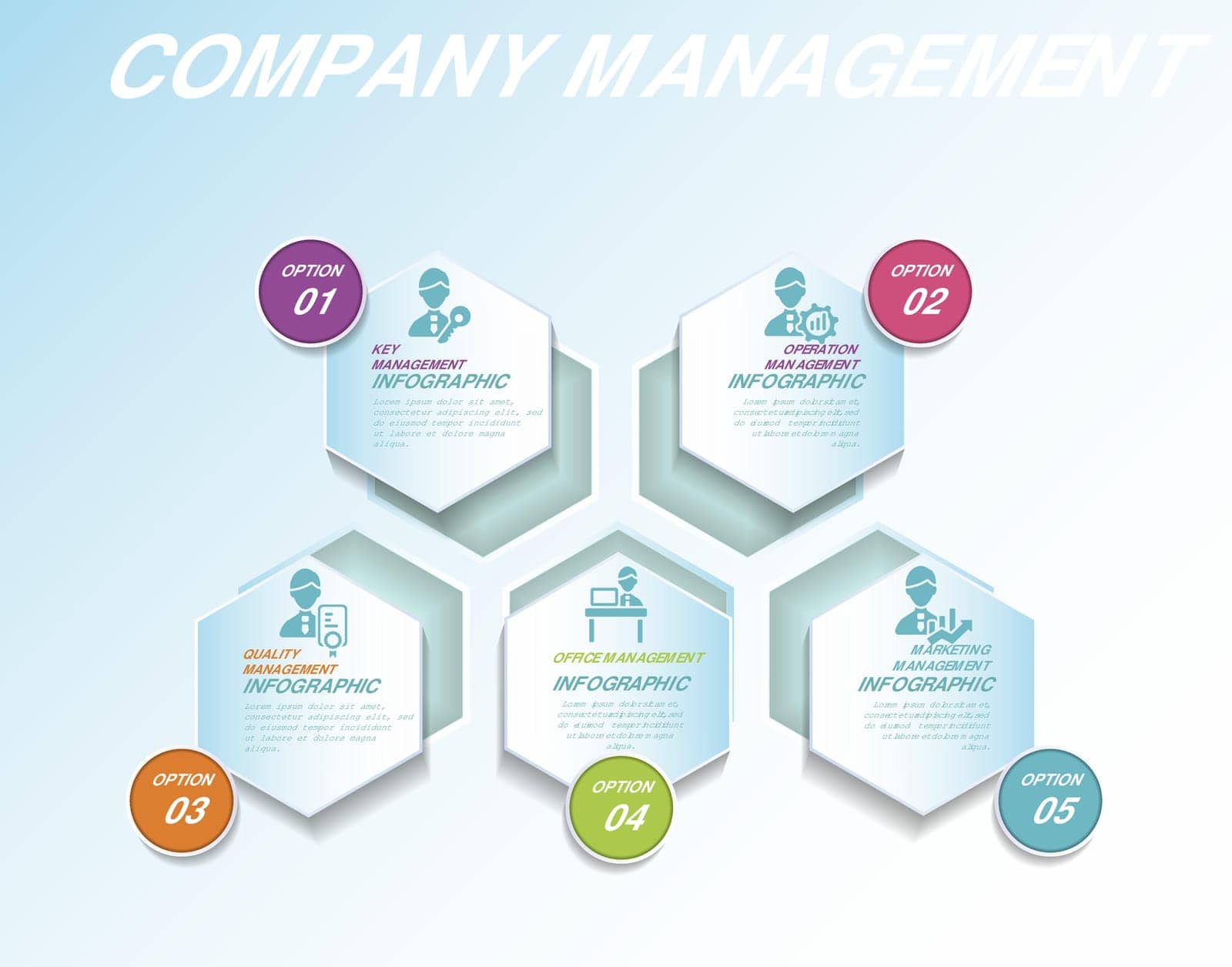 Infographic Company Management template. Icons in different colors. Include Key Management, Operation Management, Quality Management, Office and others. by simakovavector