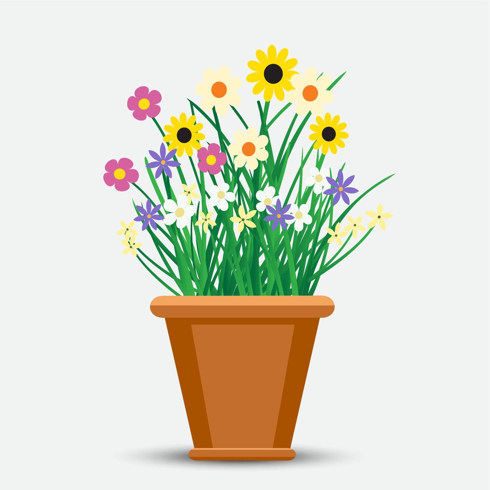 Flowers grows in flowerpot with shadow on light background. Houseplant decorative flower grow
