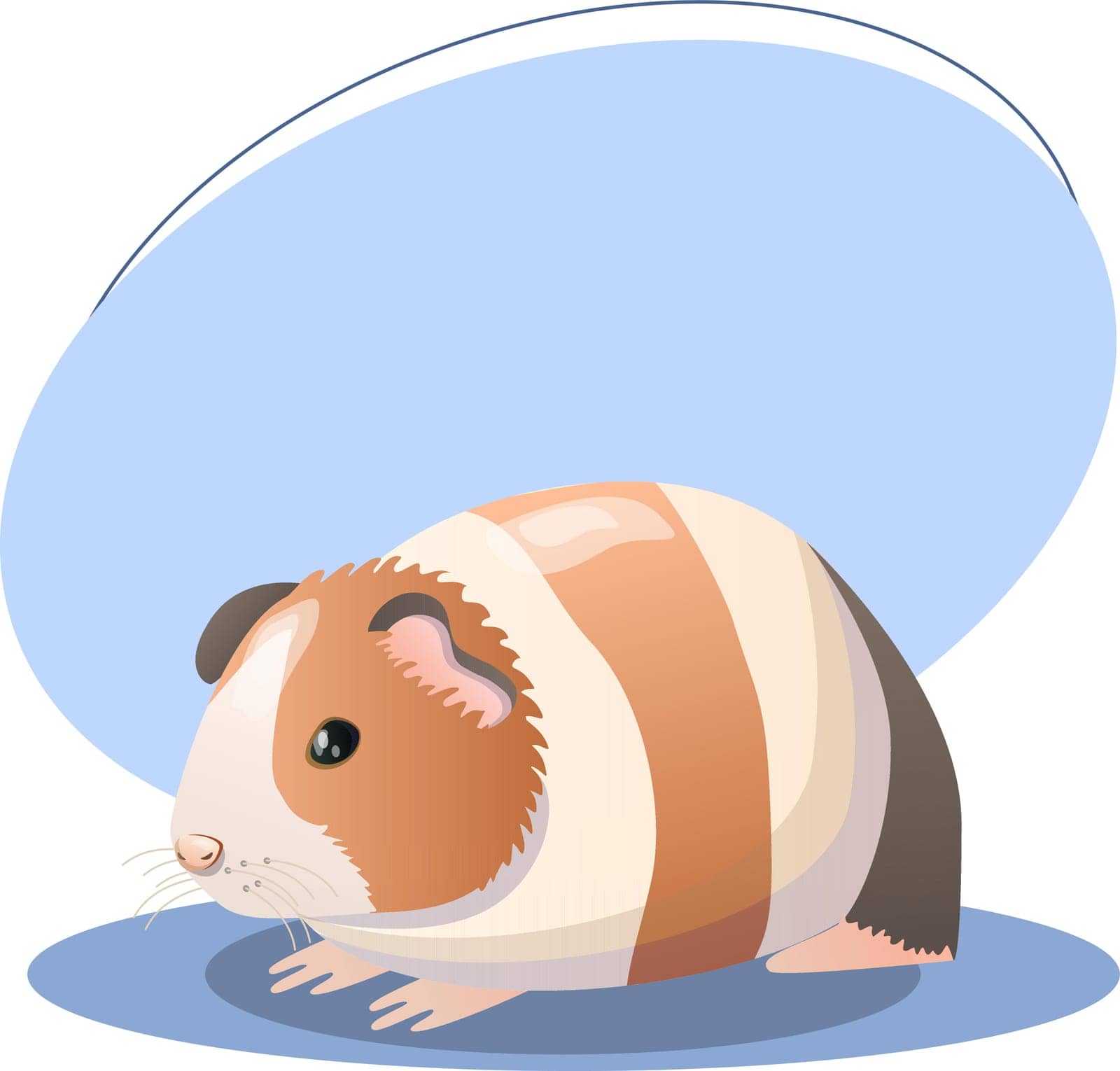 Guinea pig illustration. Animal, ears, paws, fluffy, colorful. Vector graphics.