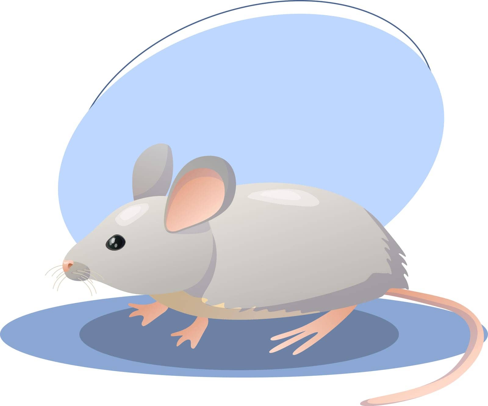 Mouse illustration. Animal, ears, tail, nose. Vector graphics.