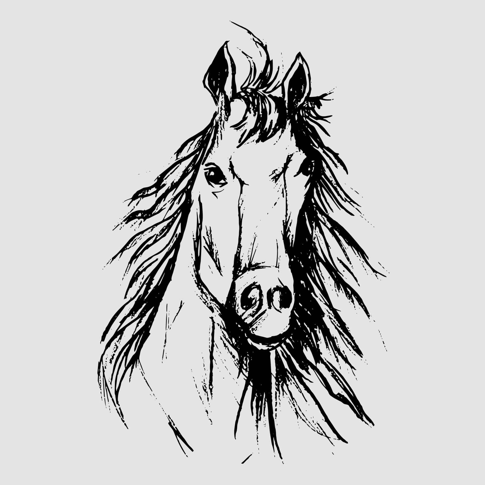Horse scetch by black pencils in eps