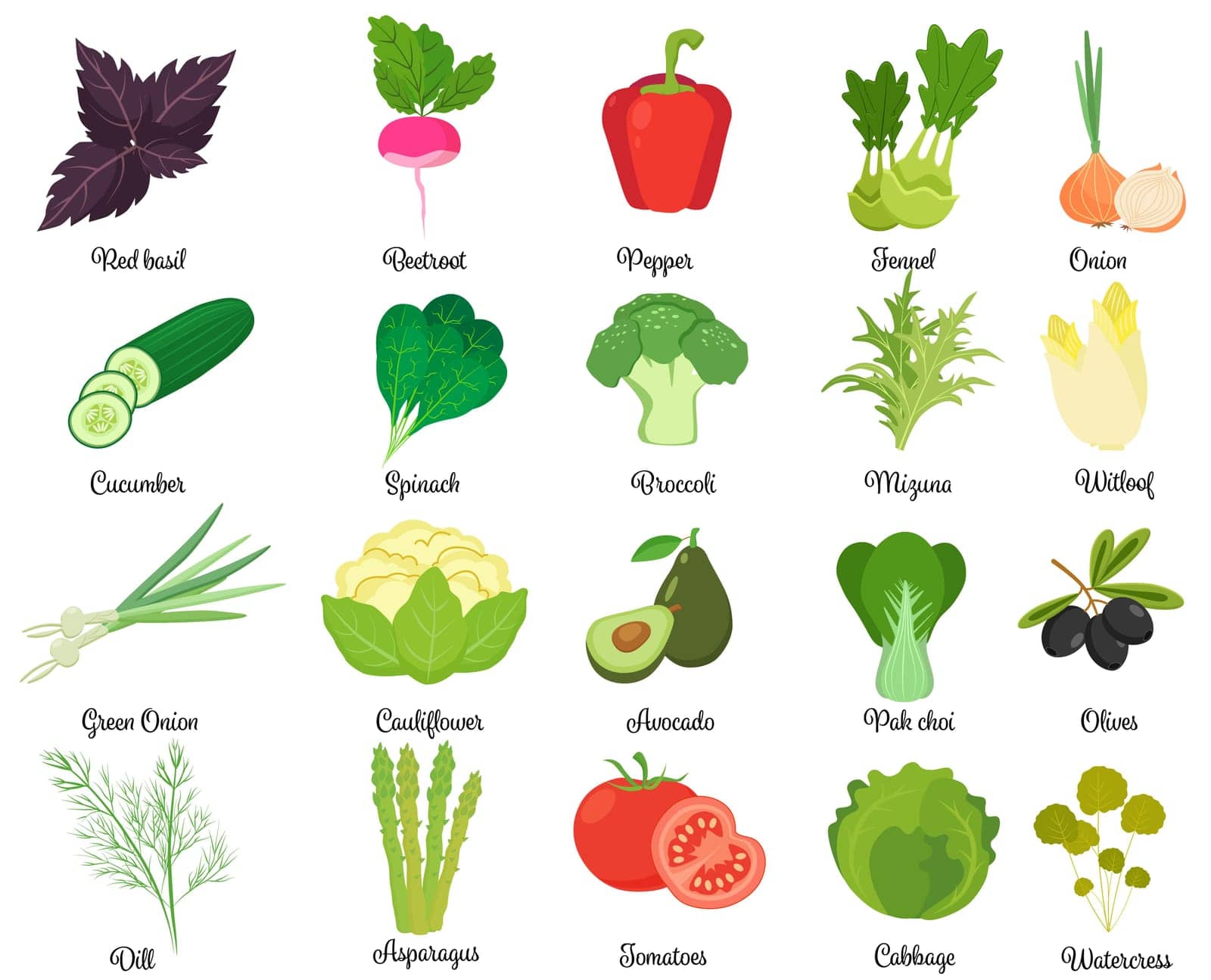 Set of tasty vegetables by Lembergvector