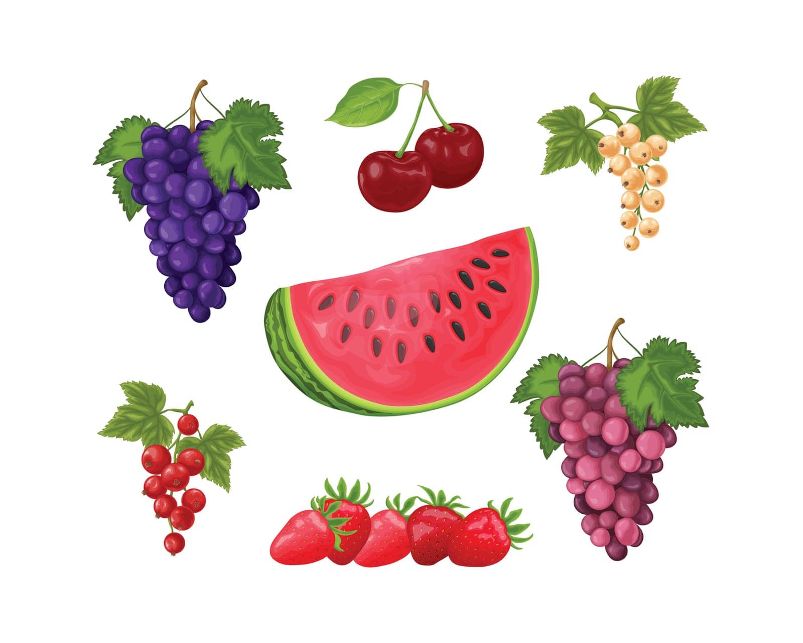 Fruit set. A large set of fruits, such as watermelon, grapes, cherries, red and white currants, and strawberries. Summer fruits. Vector illustration.