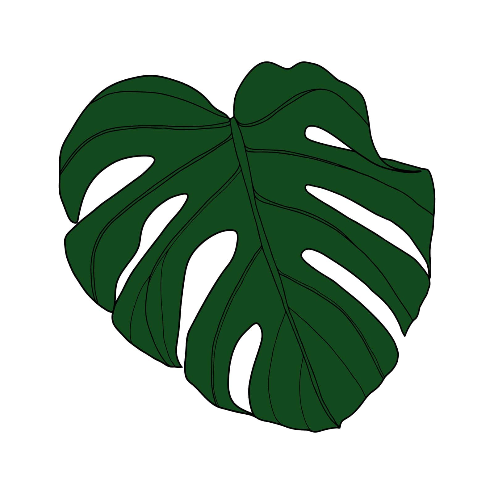 Monstera tropical leaves. Exotic leaves jungle. Coloring of monstera leaves by MintanArt