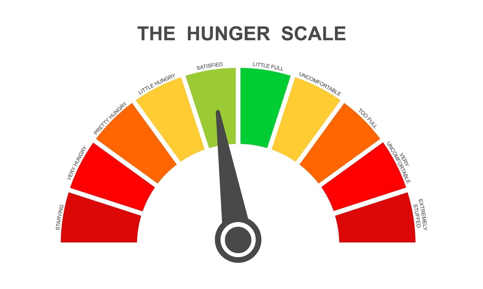 Hunger scale as dial dashboard with arrow. Food fullness level. Ghrelin and leptin balance meter. Appetite regulation infographic for weight loss. Vector flat illustration