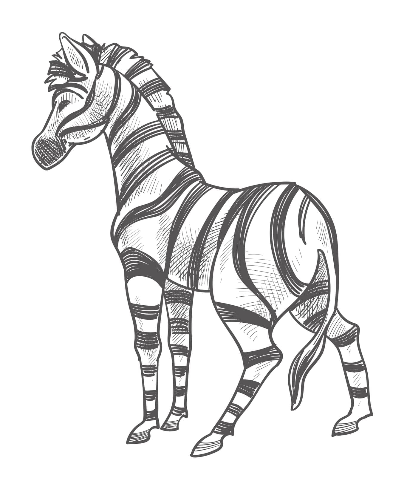 Herbivorous animal with stripes on fur, isolated mammal in zoo or natural reservation. Savannah or africa habitat for wilderness, strong stallion. Monochrome sketch outline. Vector in flat style