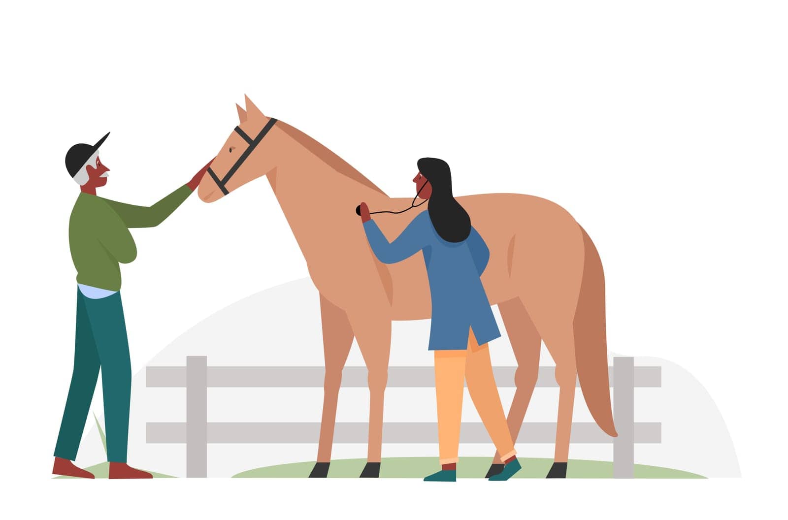 Horse at veterinary examination. Domestic animals care and vet consultation isolated illustration