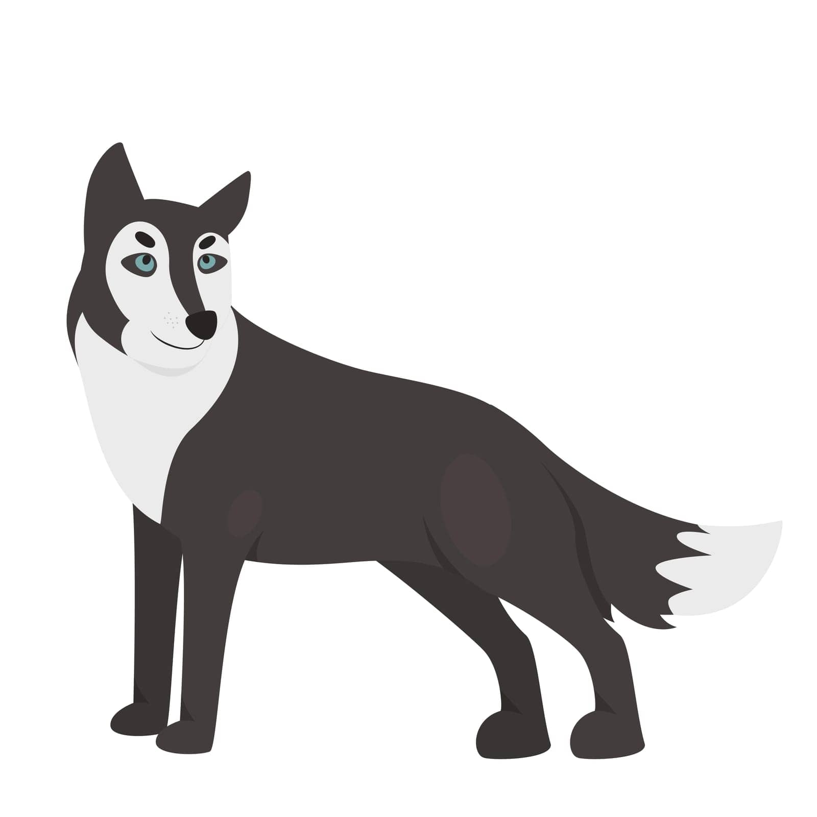 Wild predator wolf. Howling wildlife dog, forest carnivore hunter vector illustration