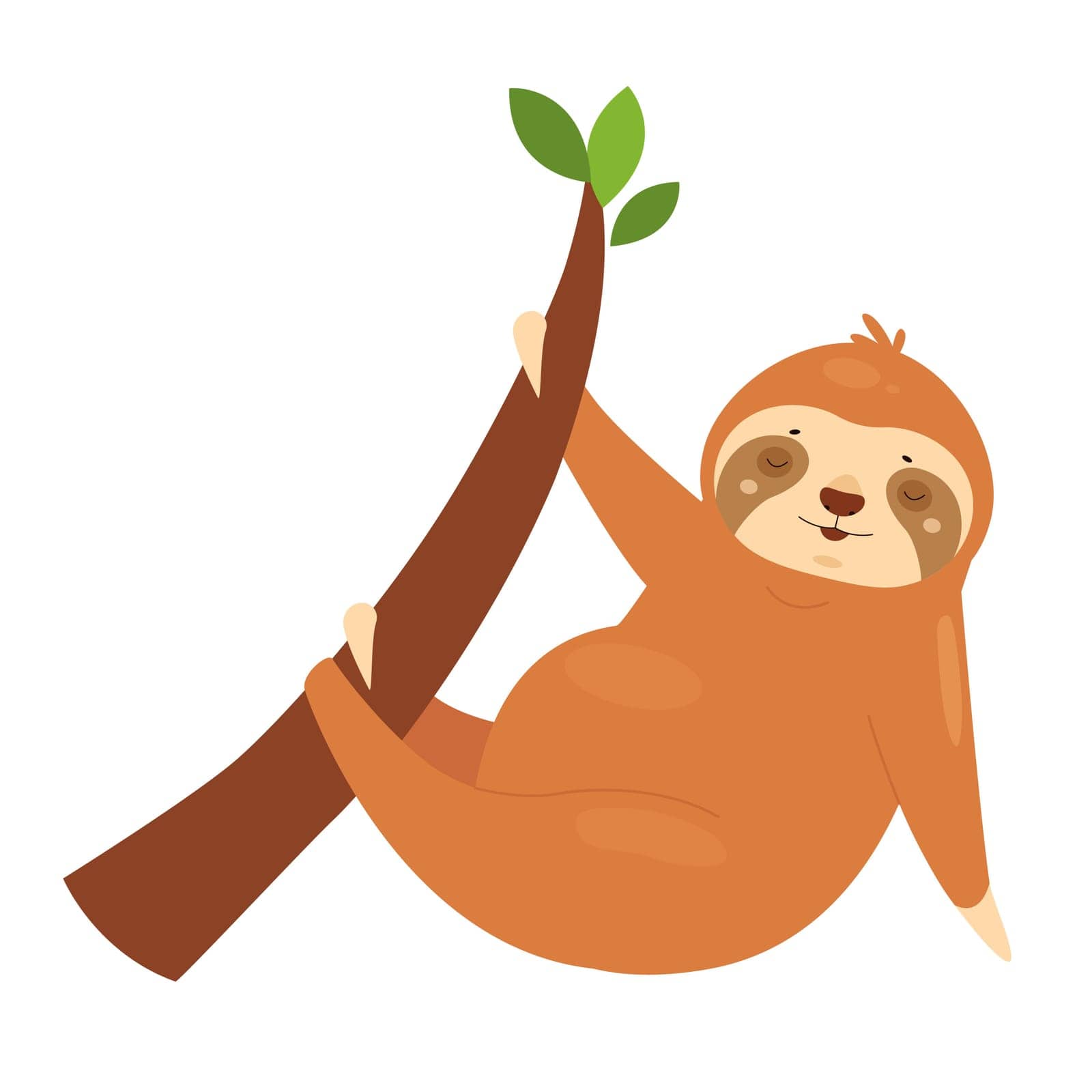 Hanging sloth animal on tree. Lazy bear on branch, relaxed arboreal mammal vector illustration