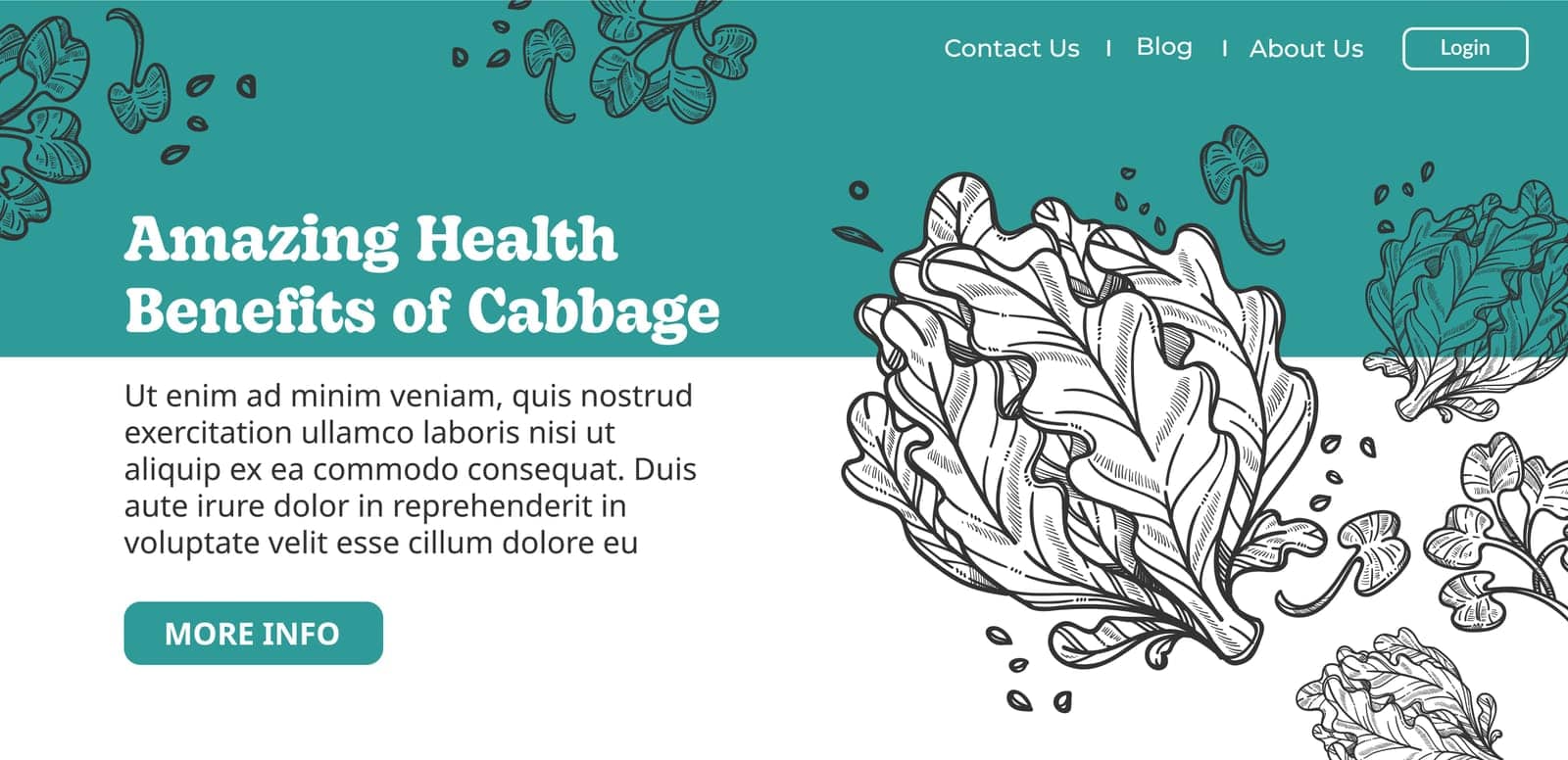 Amazing health benefits of cabbage website page by Sonulkaster