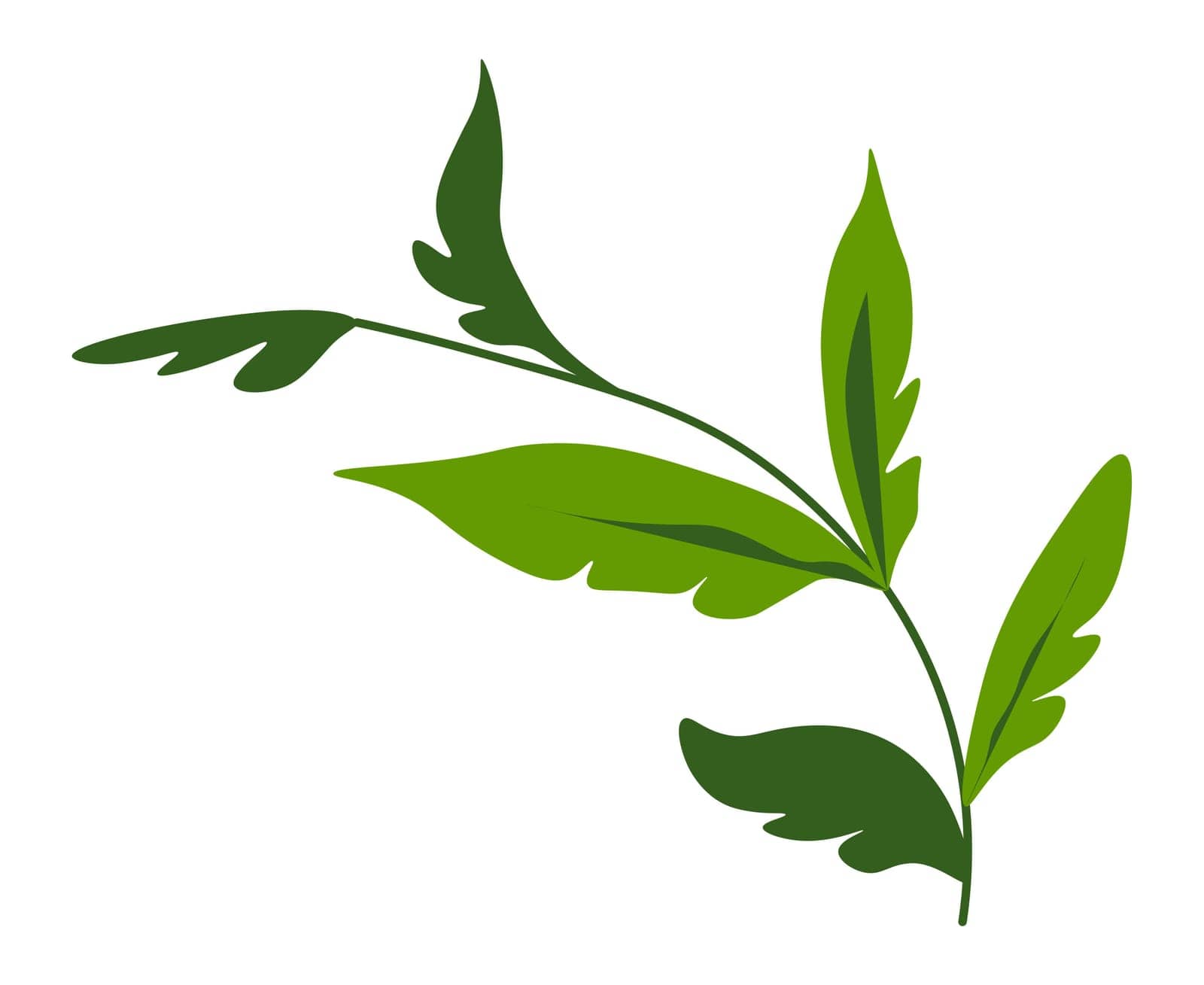 Flora and botany, branch with lush foliage vector by Sonulkaster