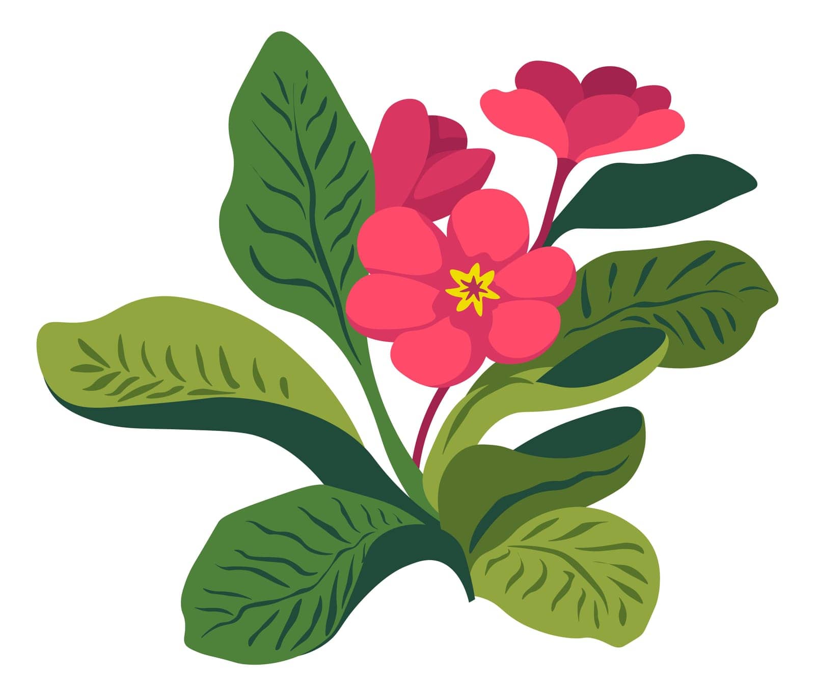 Houseplant flower in blossom, blooming florist composition, isolated flourishing pant with leaves and petals. Growing flora and gardening, shop with tropical and exotic buds. Vector in flat style