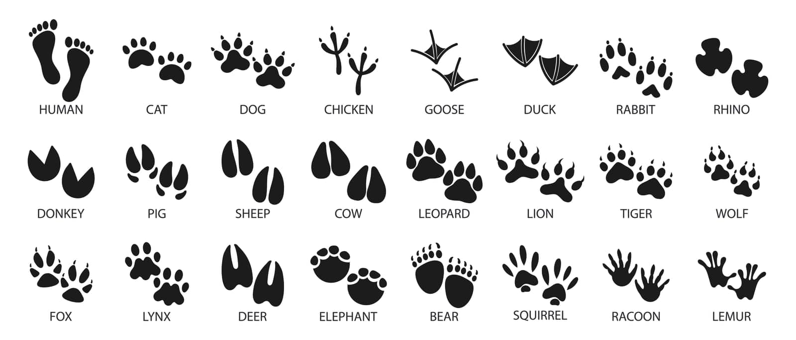 Big set of footprints of domestic and wild animals. Icons, sketch by VS1959