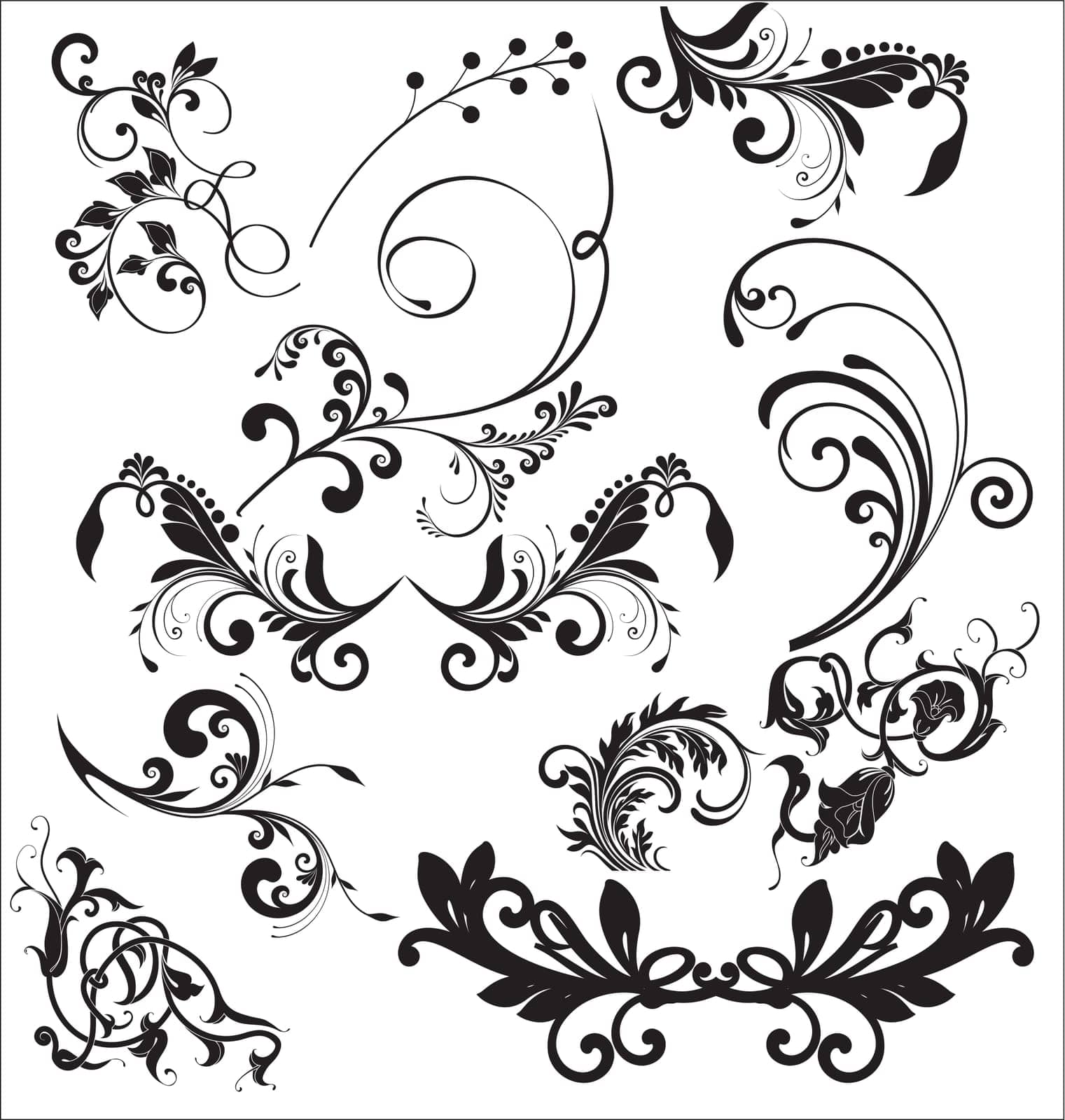 floral,curl,filigree,nature,twine,spiral,leaf,decorative,flourish,swirl,leaves,loop,design,elements,vine,twist,decoration by ogqcorp