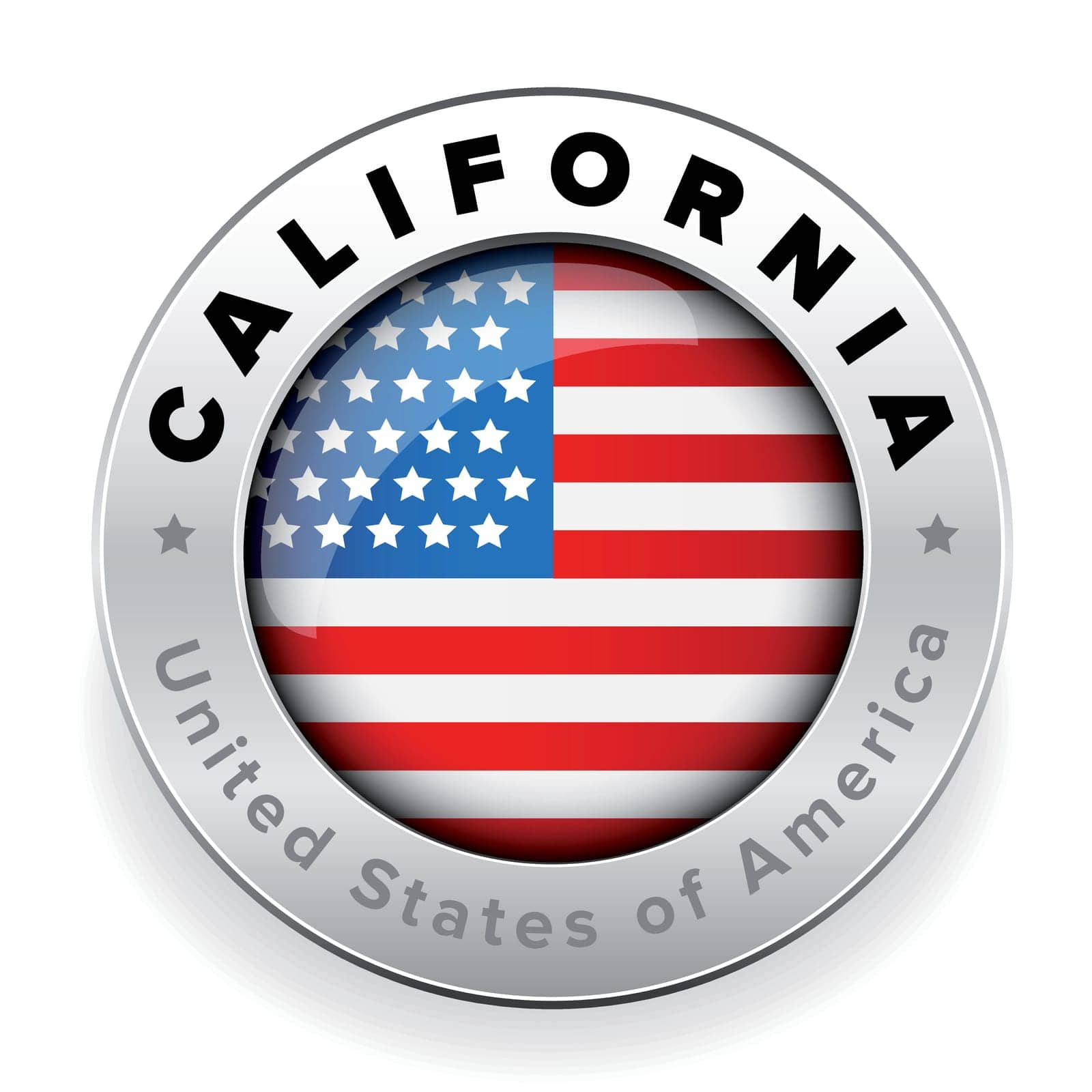 California USA steel button vector