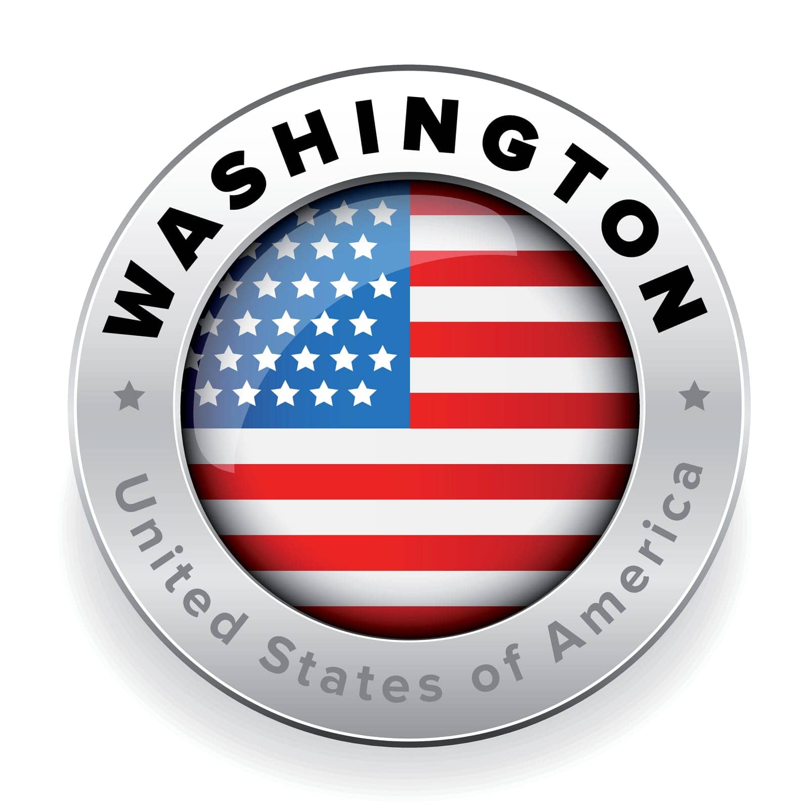 Washington Usa steel button vector