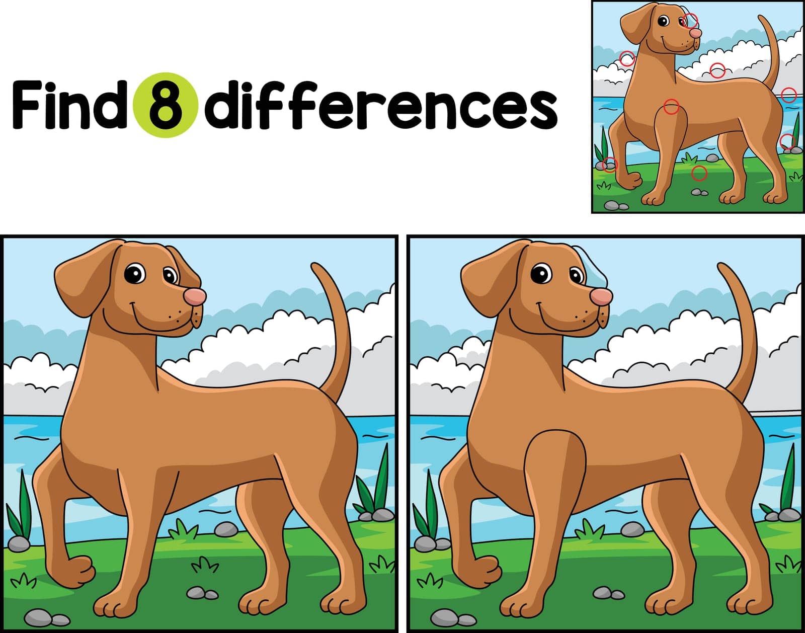 Find or spot the differences on this Vizsla Dog Kids activity page. It is a funny and educational puzzle-matching game for children.
