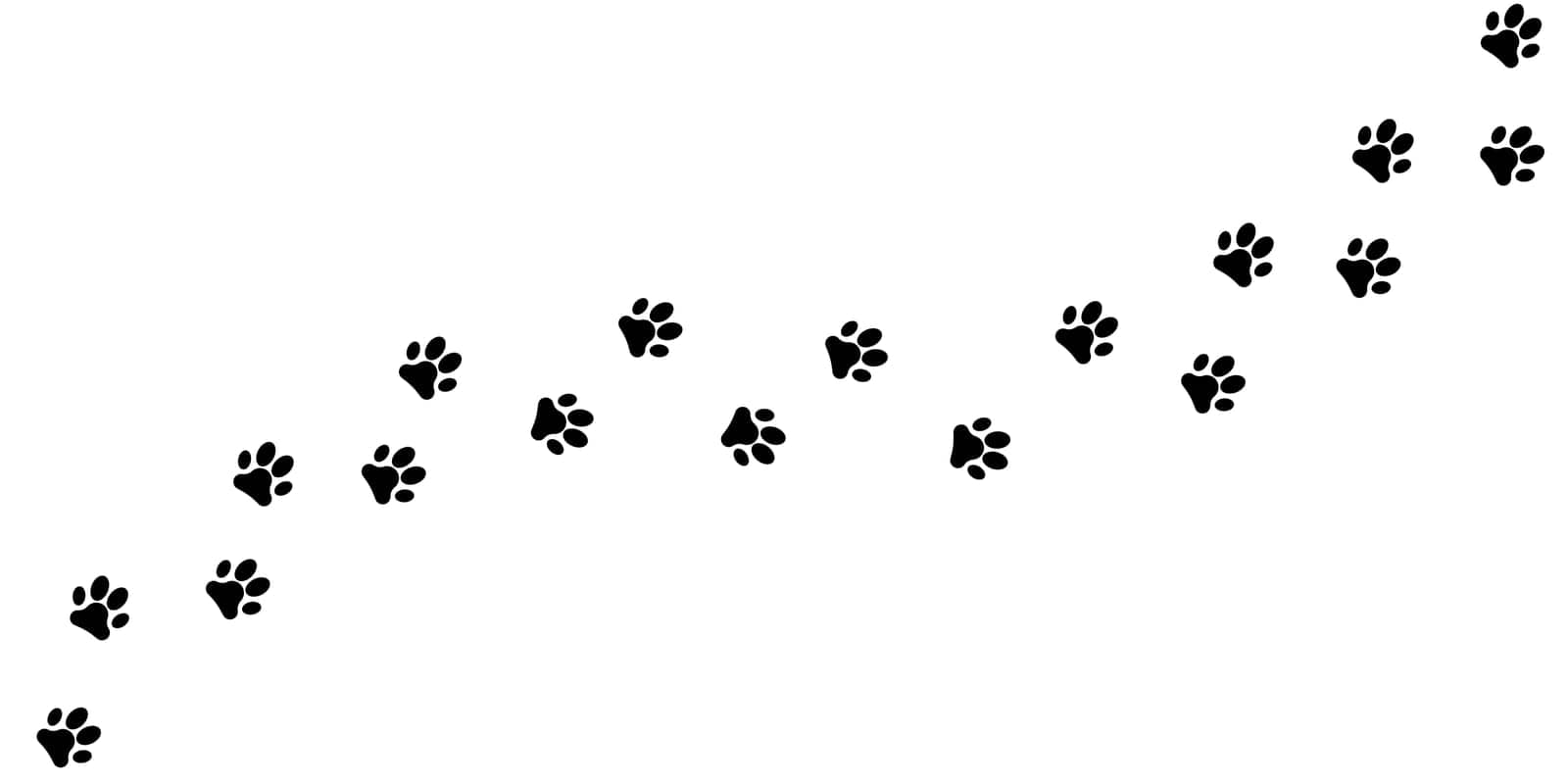 Paw print pets waling icon background