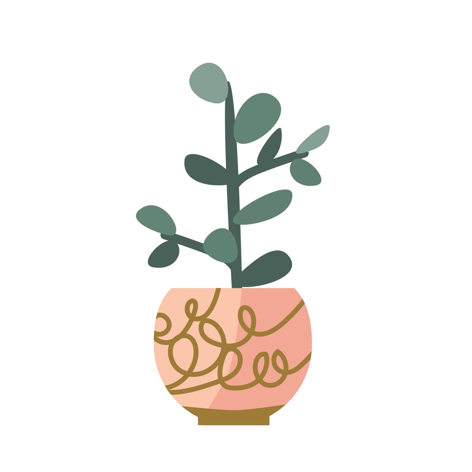 green succulent - crassula or money tree housplant. Vector illustration of plant for home in a flowerpot. Decorative pot in a pink trendy color with golden pattern.
