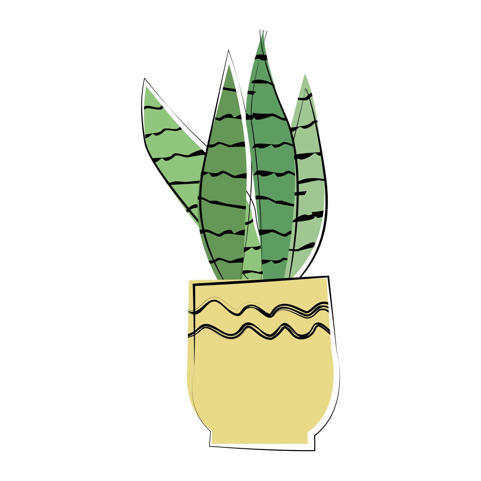 snace plant in a flowerpot in a hand drawn style by Bissekeyeva