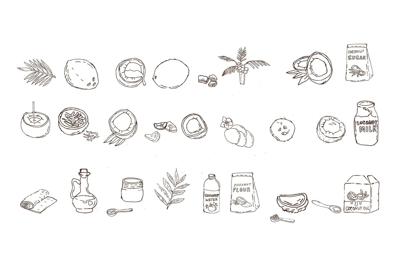 coconut and products from coconut - outline set. Vector illustration in doodle sketch style. Usable for wrapping papers, good labels, cosmetic products banners, postcards.