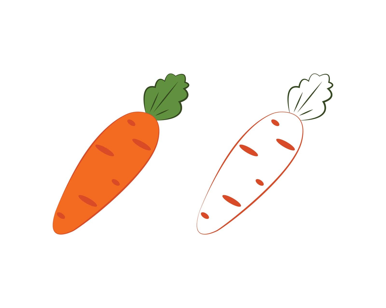 Carrot coloring book. Ripe orange carrots. A ripe vegetable garden. An image of a carrot for a children s coloring book. Vector illustration on a white background.