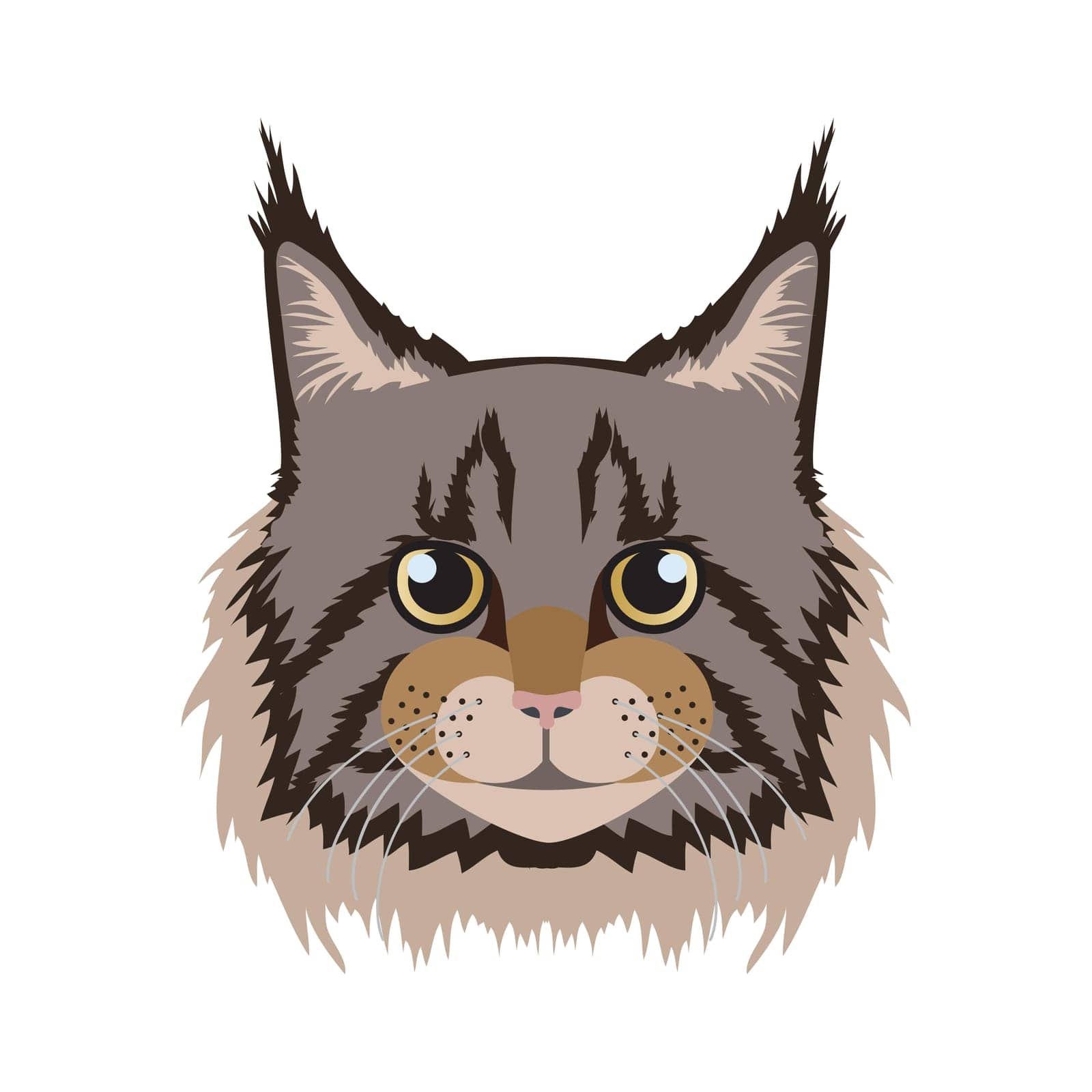 Maine Coon cat face, domestic kitty with typical lynx ear tips on head vector illustration