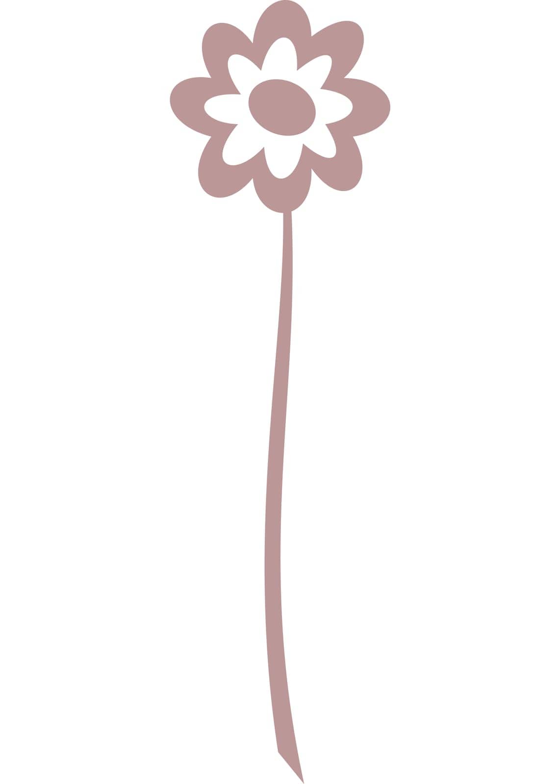 Flower, plant with transparent background