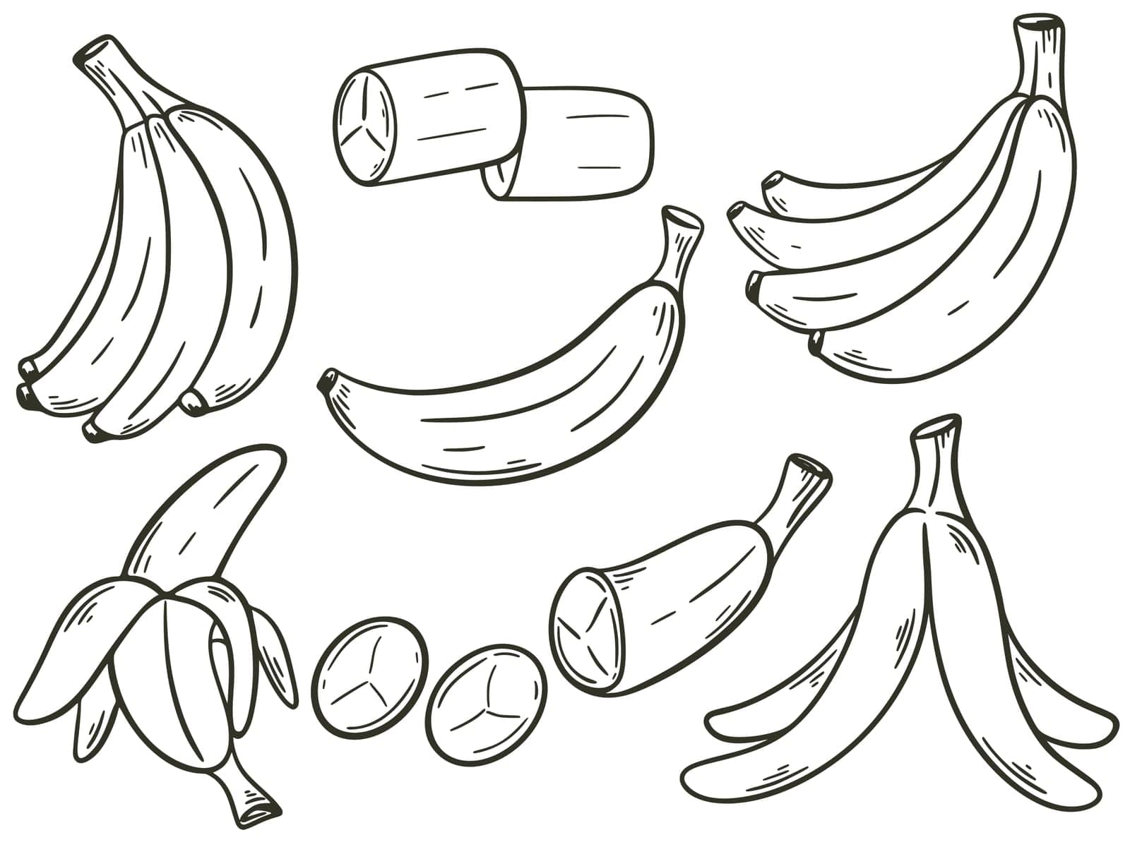 Bananas set hand engraving isolated vector illustration. Sketch of banana in bunch, single, peeled, sliced. Organic healthy food black line on white background. Tropical fruit doodle style