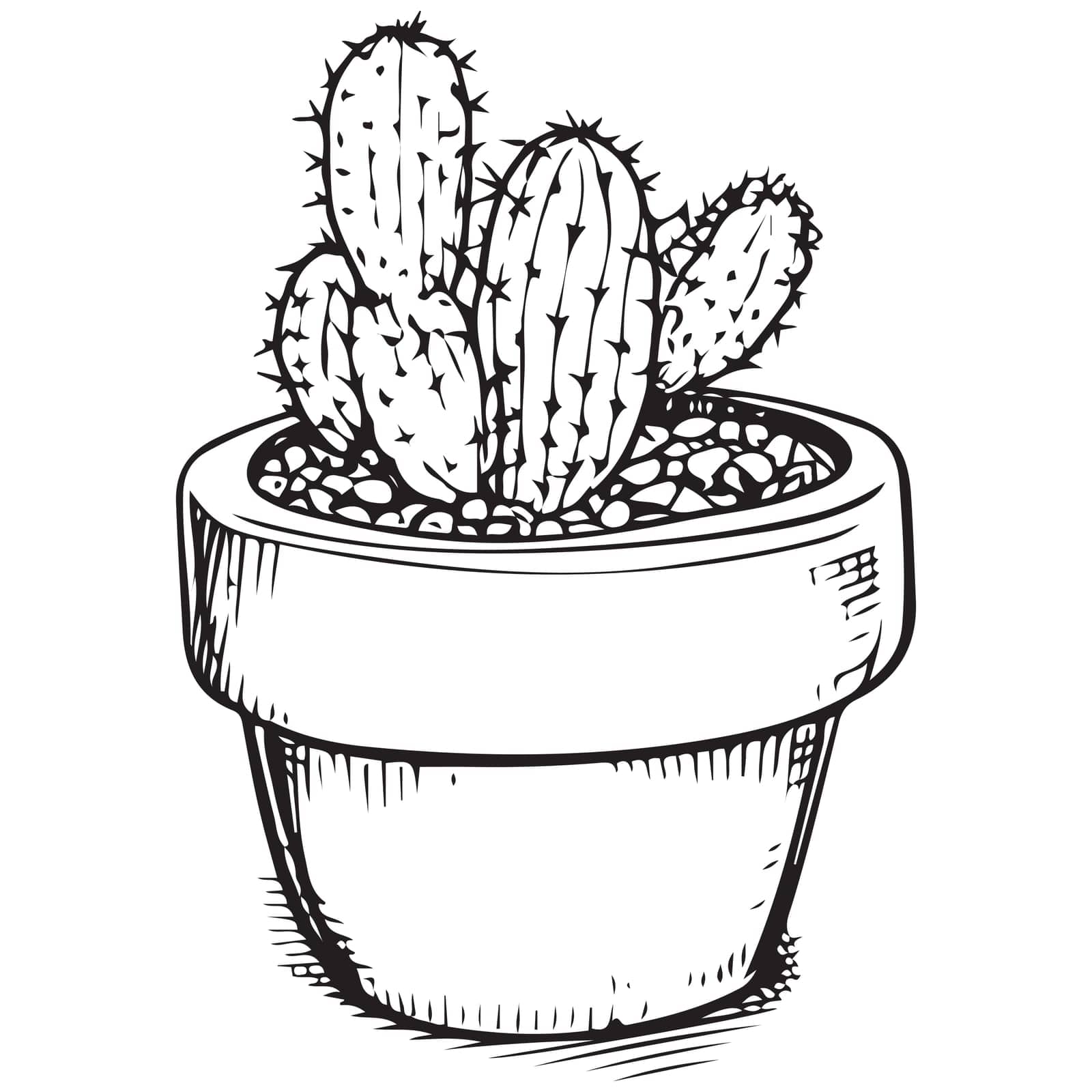 Hand Drawn Sketched Outline Cactus Silhouette. Mexican Plant Realistic Vector Illustration.