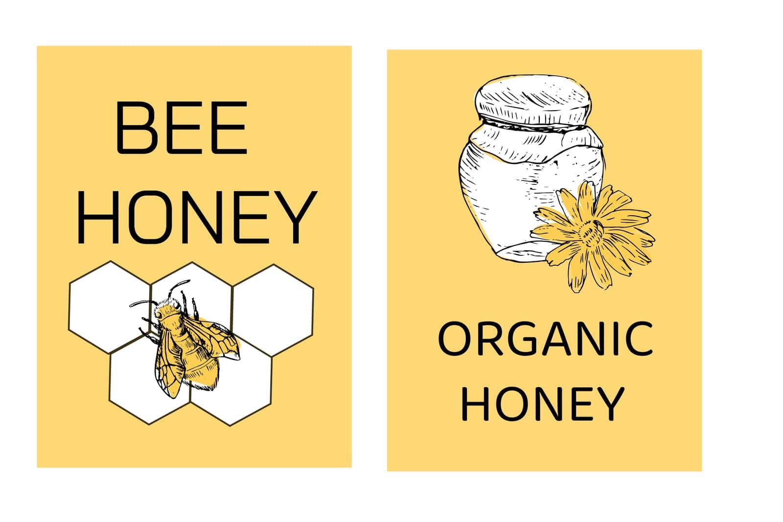 Hand drawn sketch of honey bee and jar - label or poster. Vector illustration can used food label, print for organic honey products.