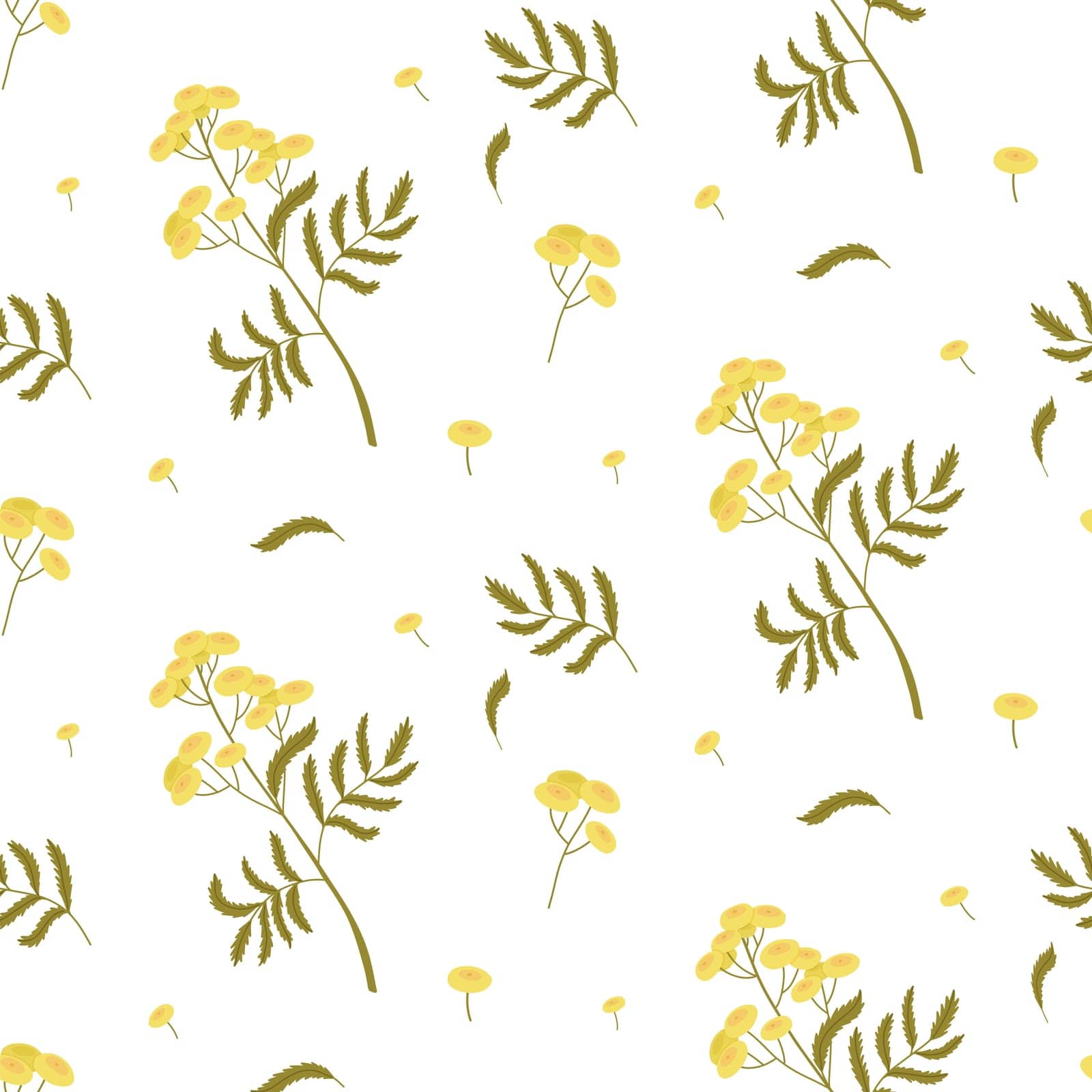 Light seamless pattern with twigs and flowers of tansy on a white background. Vector illustration