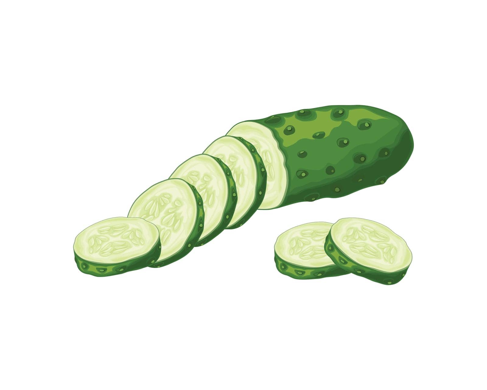Cucumber. A ripe cucumber is green in color. Cucumber cut into pieces. Fresh vegetable garden. A vegetarian product. Vector illustration isolated on a white background.
