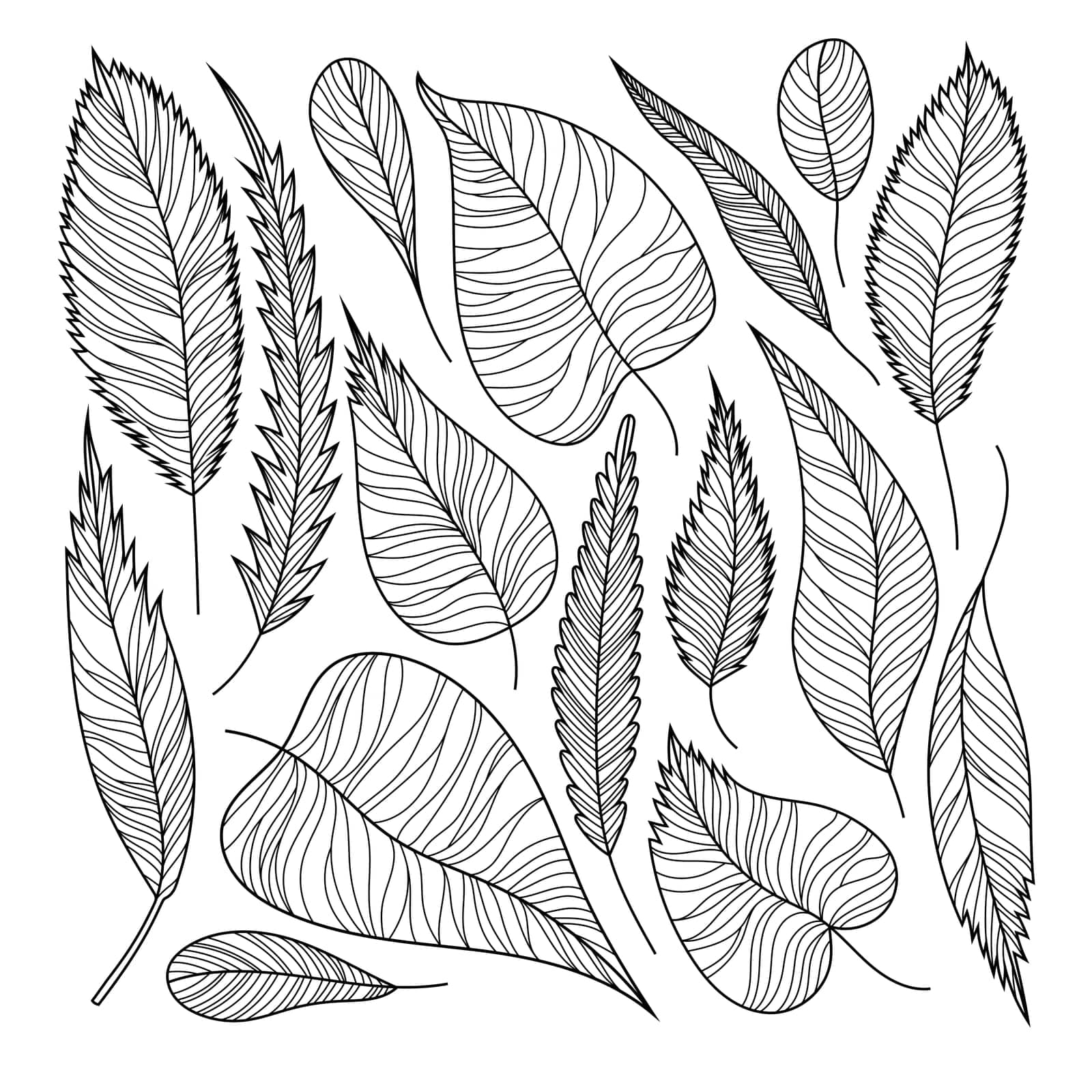Black leaves line work. Isolated on white background. Hand drawn line vector illustration. Botanical collection.