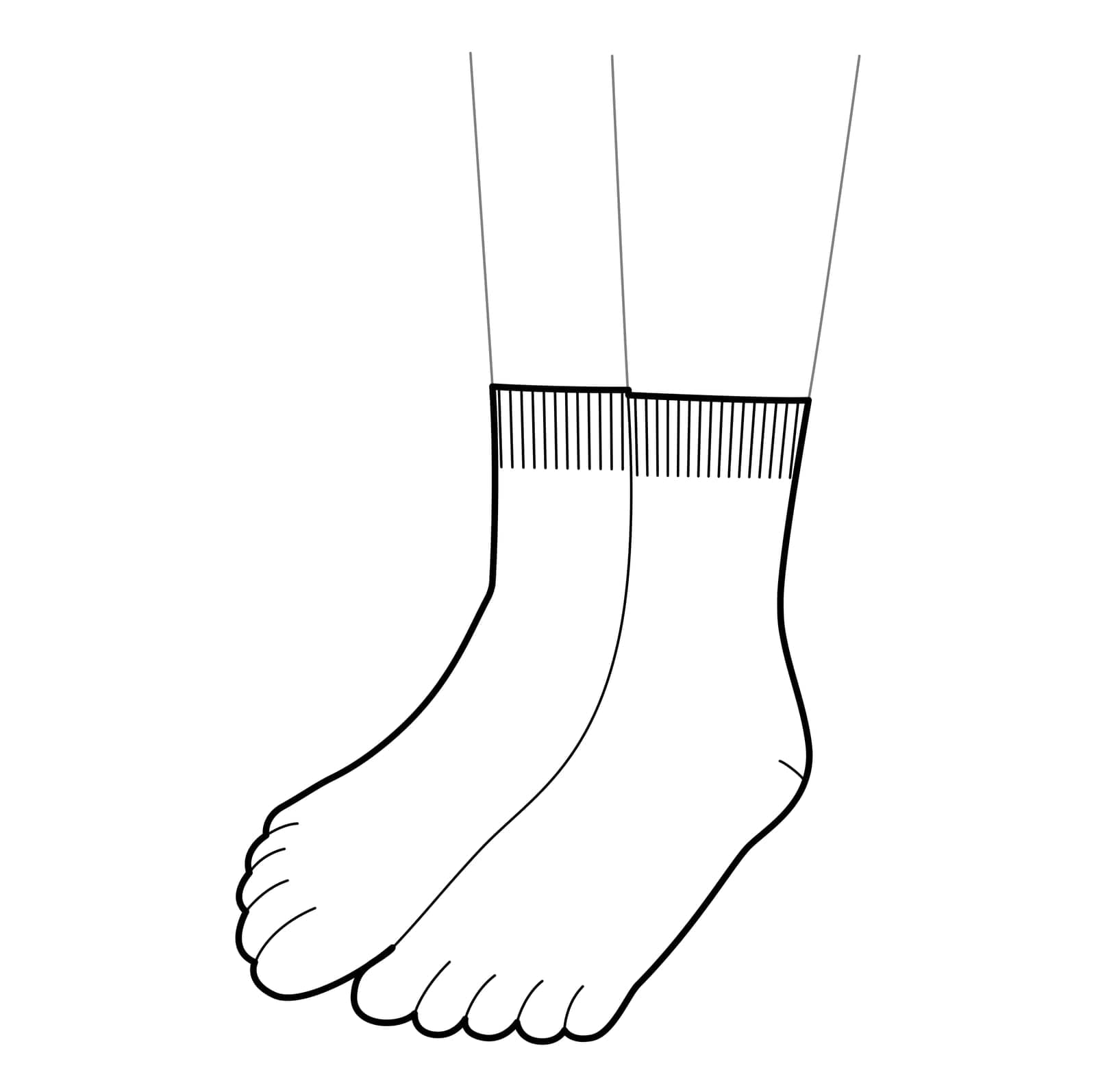 Toe Socks hosiery low cut length. Fashion accessory clothing technical illustration stocking. Vector 3-4 view for Men by Vectoressa