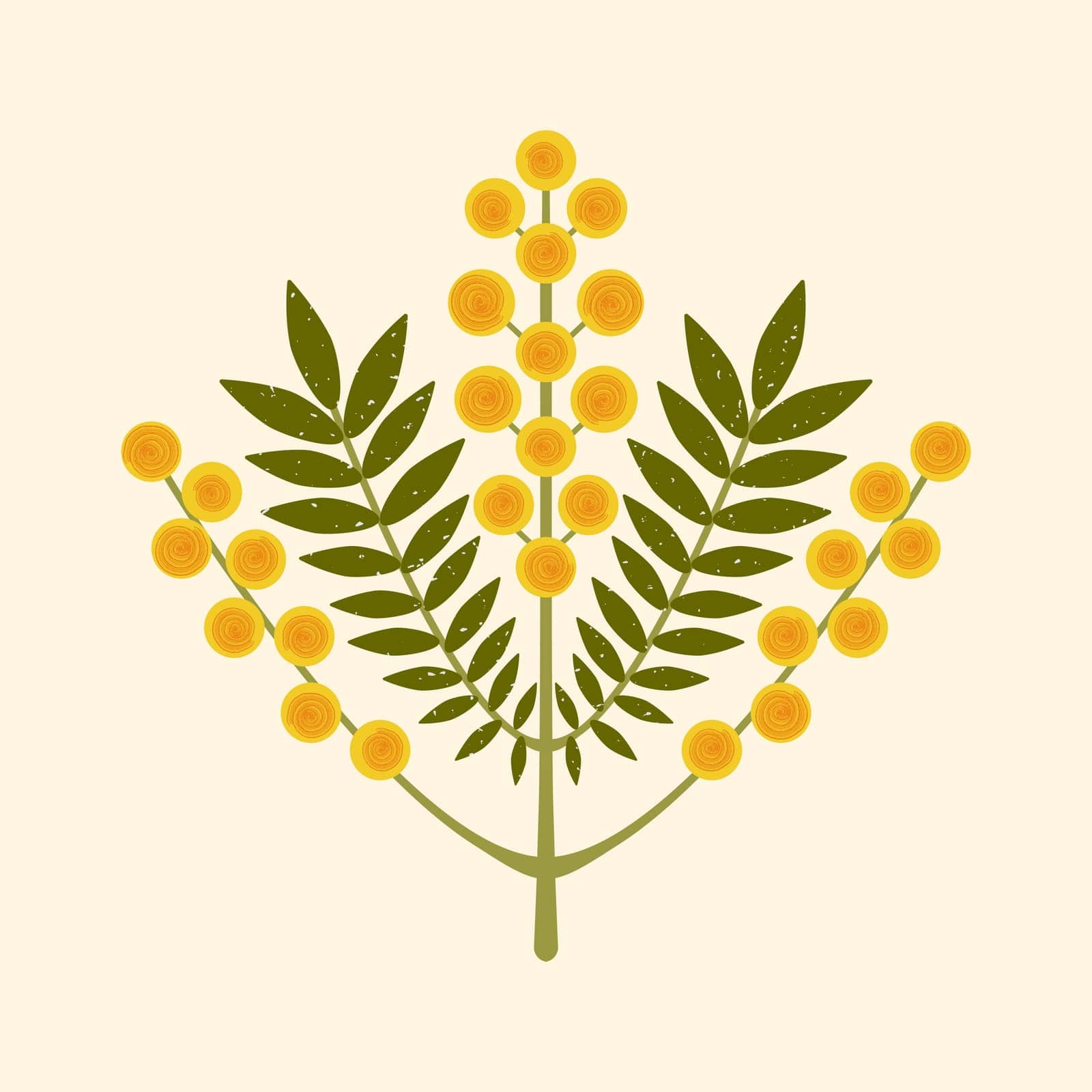 Geometric flower vector illustration. Modern symmetrical Mimosa branch with yellow flowers and leaves on pastel background. Australian Silver Wattle plant drawn in folk flat style with brush texture